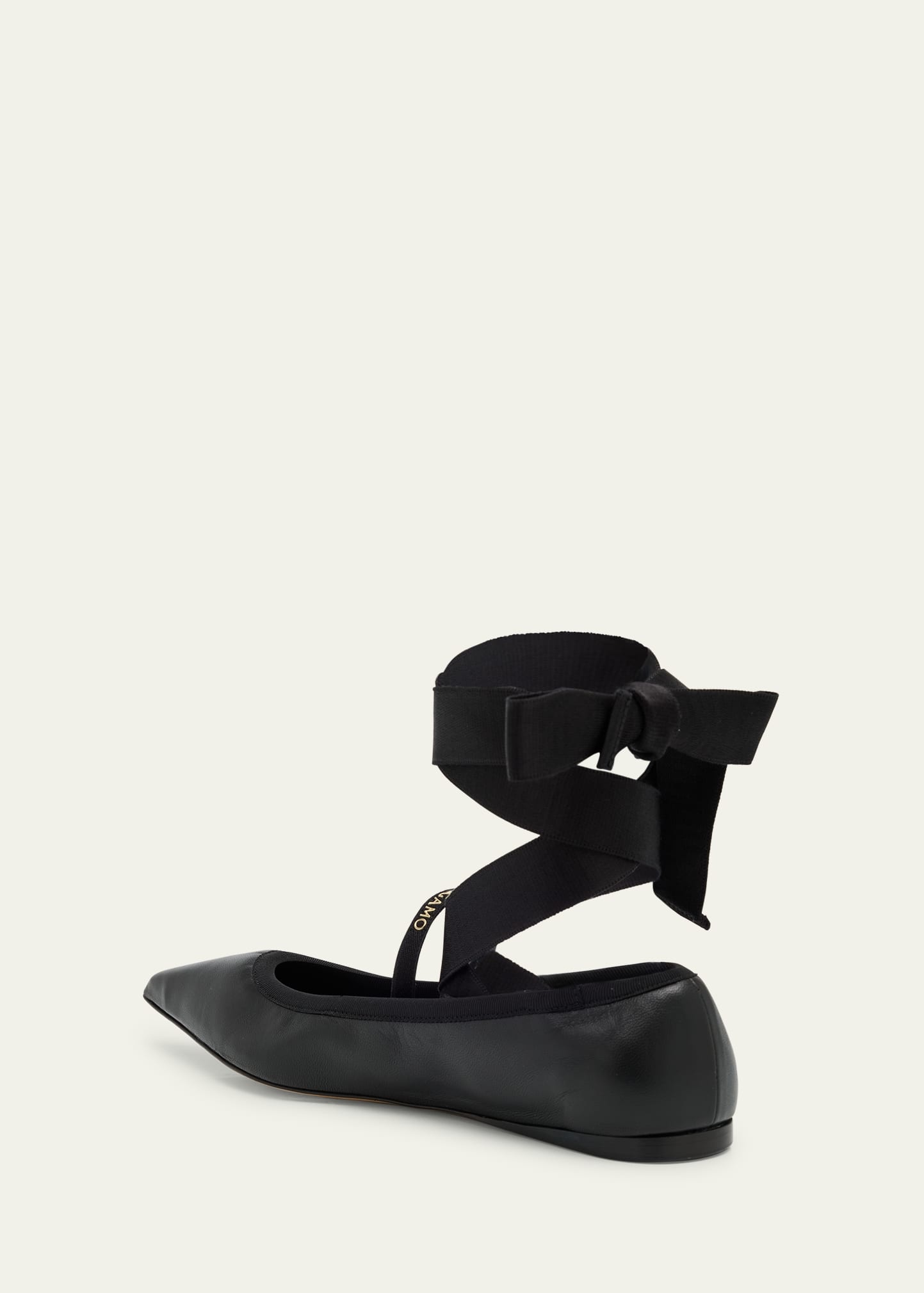 Carice Lace-Up Ballerina Flats - 2