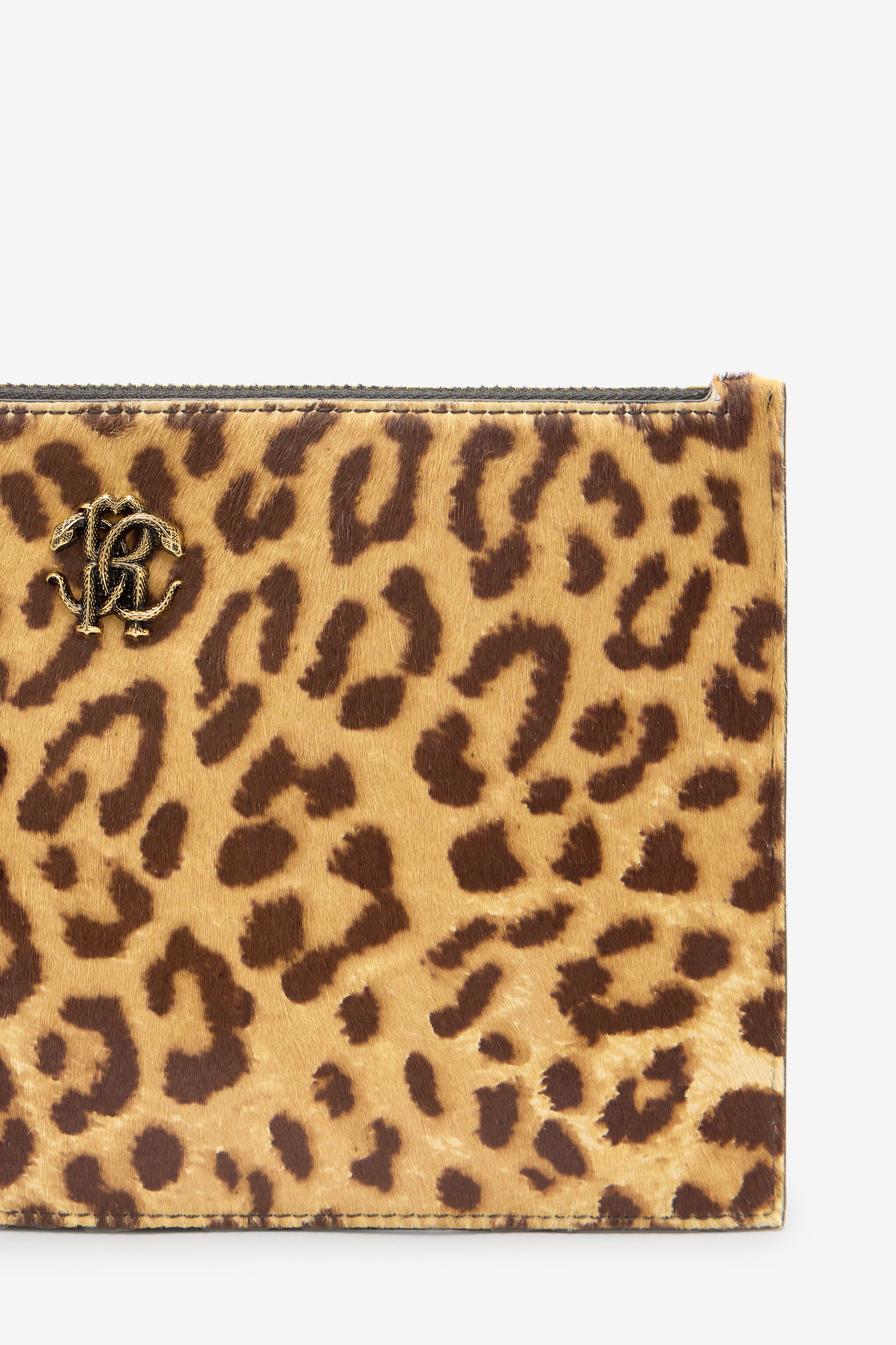 Small Jaguar-Skin Print Clutch - 4