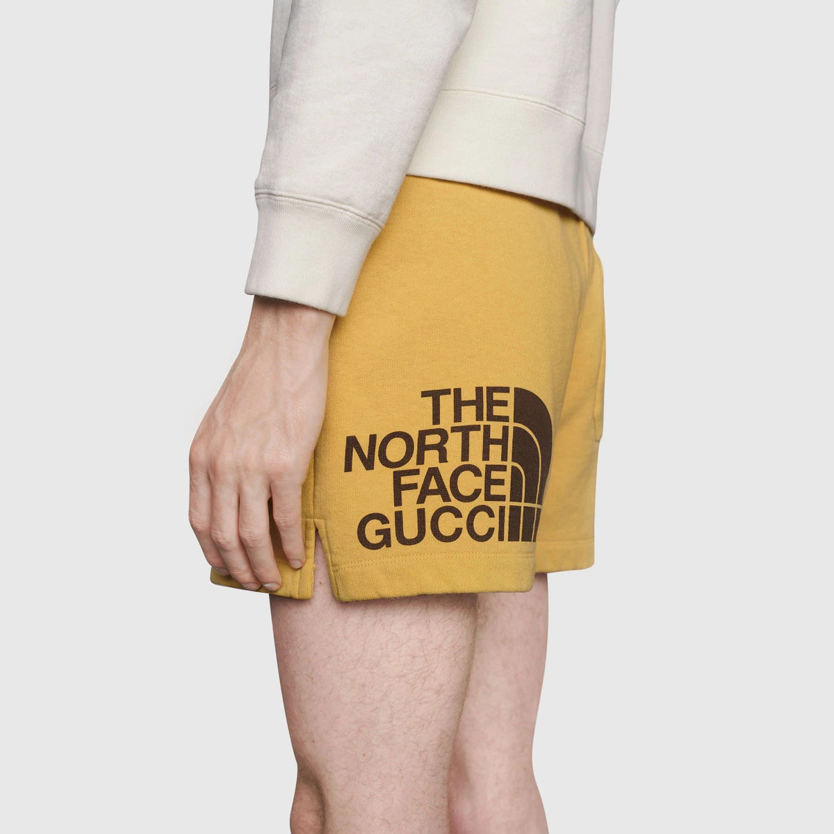 The North Face x Gucci Web print cotton shorts - 5