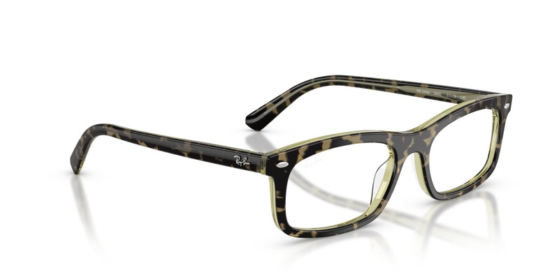 RB5450 OPTICS 7