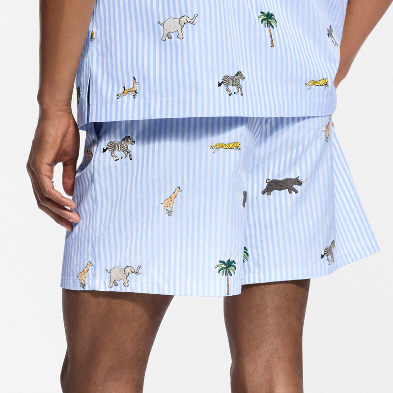 LV x The Darjeeling Limited Embroidered Striped Shorts 5