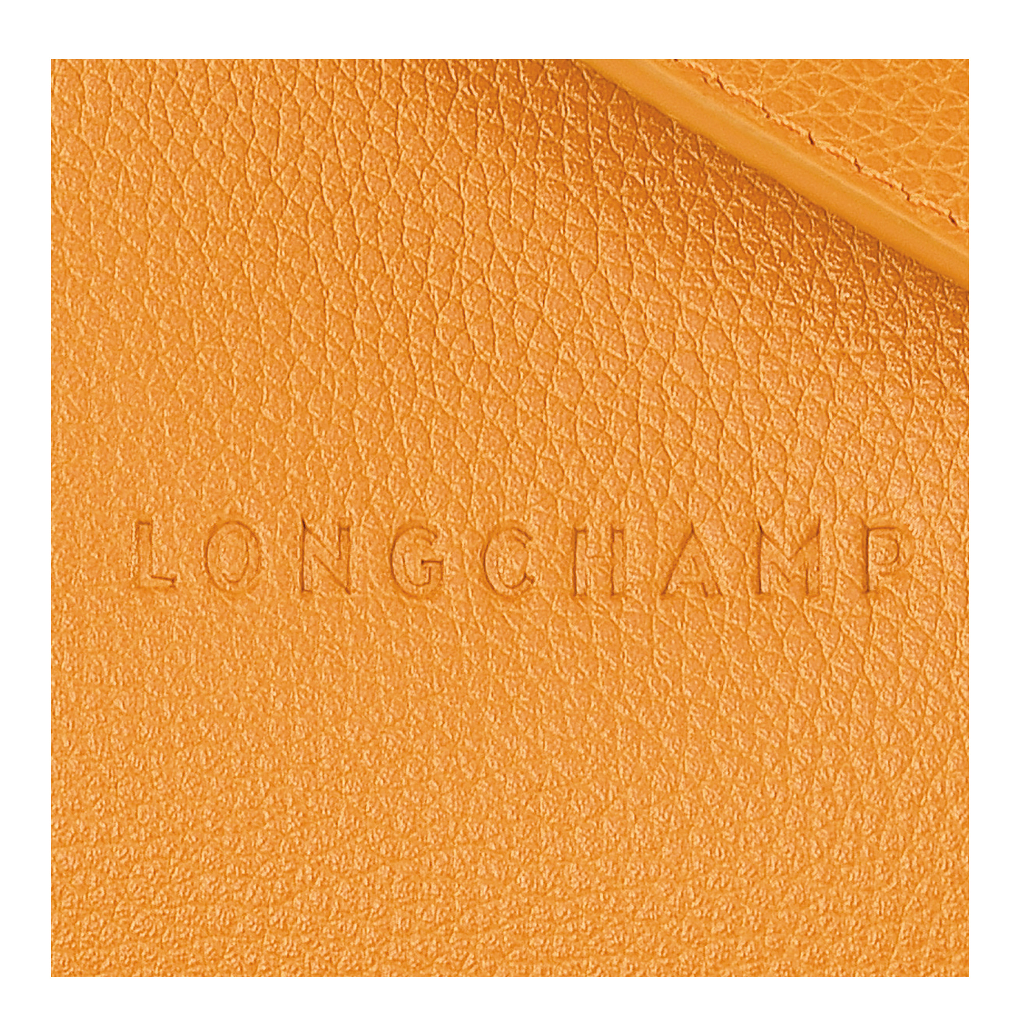 Le Foulonné M Crossbody bag Apricot - Leather - 6