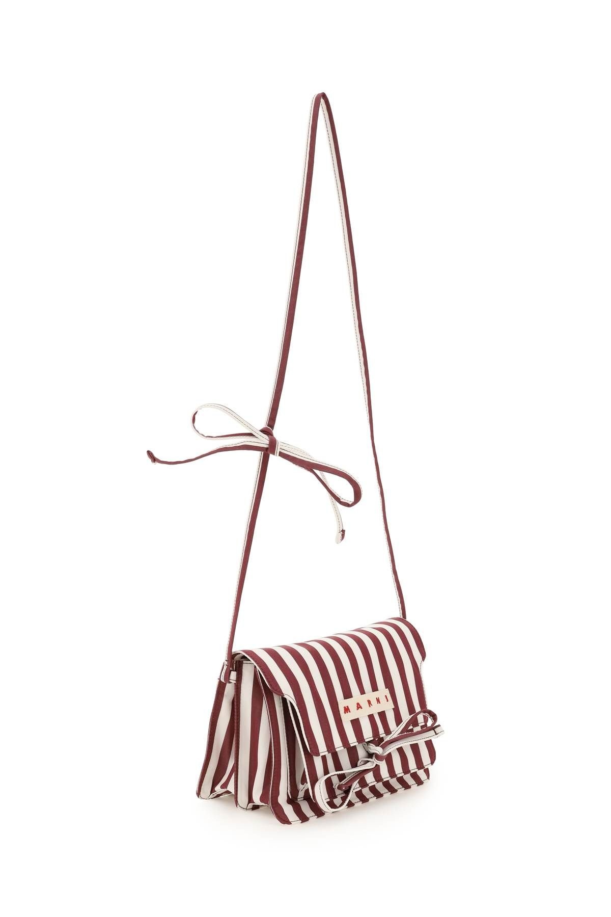 STRIPED CANVAS MEDIUM TRUNK BAG - 3