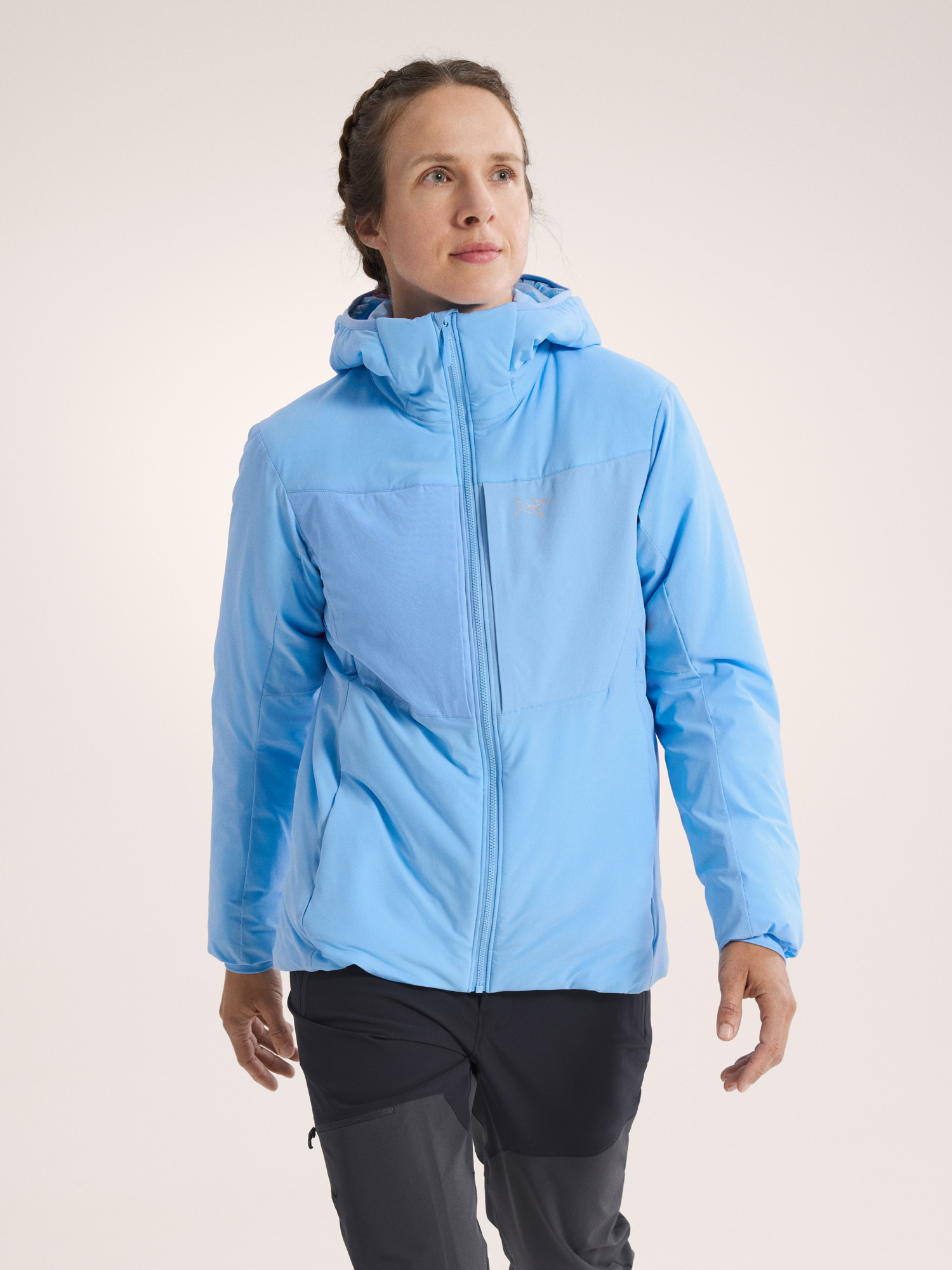Proton Heavyweight Hoody - 2