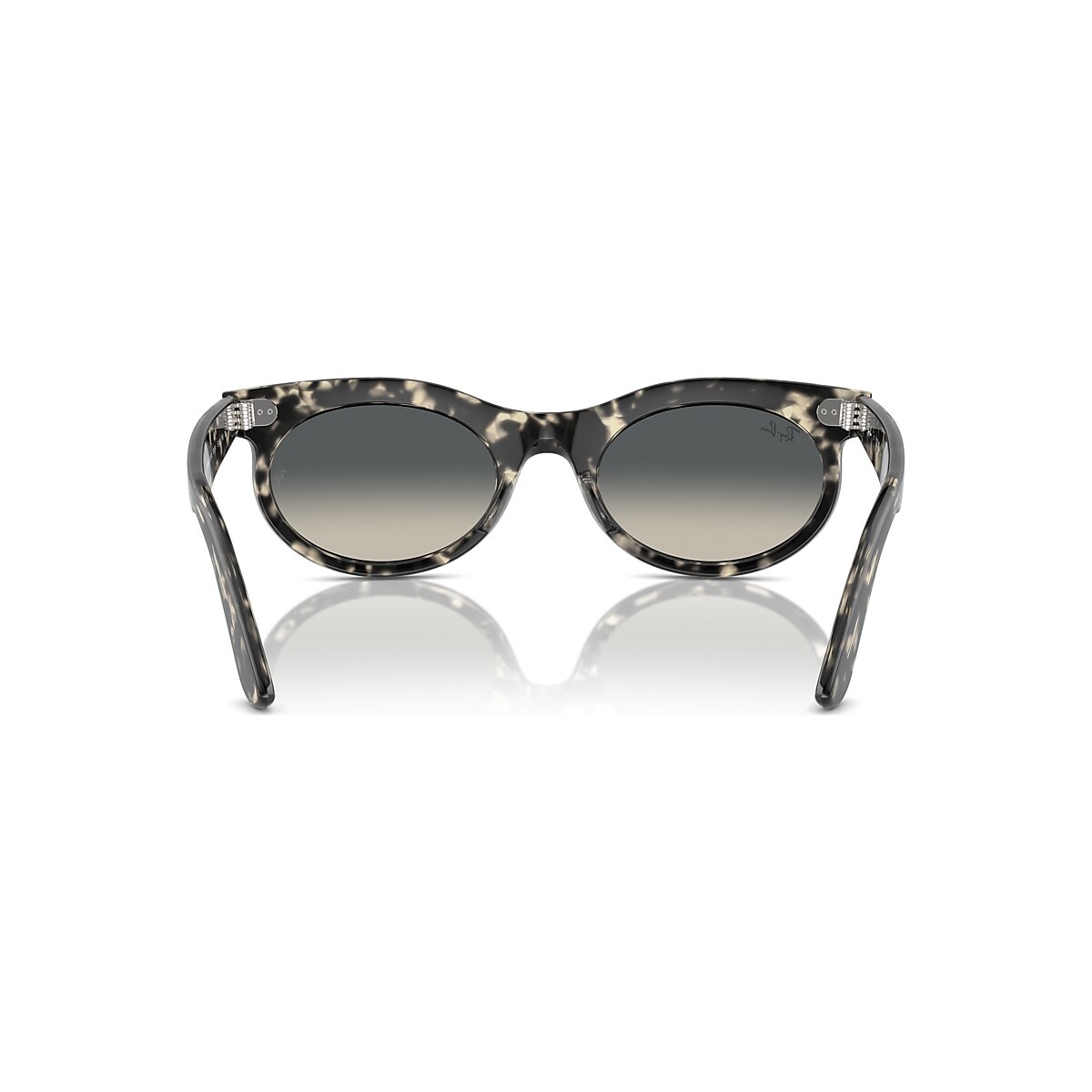 RB2242 Wayfarer Oval - 5