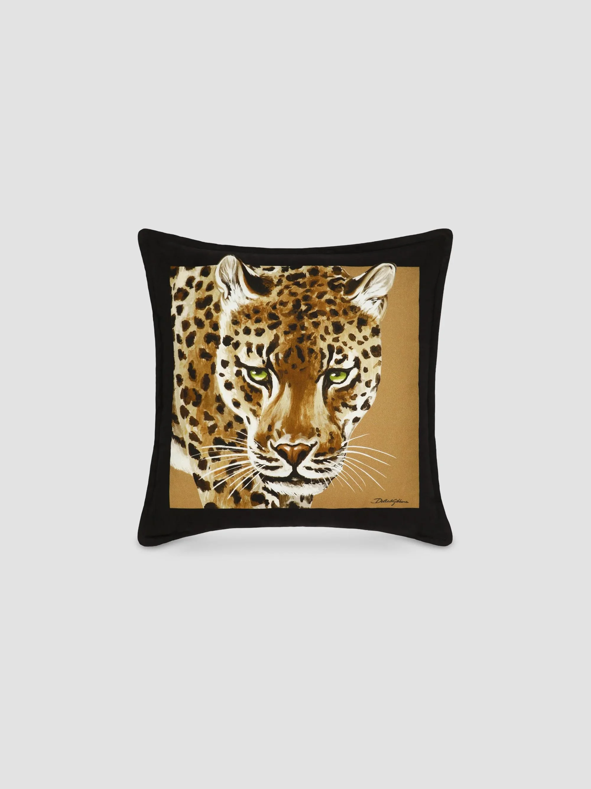 Leopard Graphic Cotton Cushion - Leopard - 1