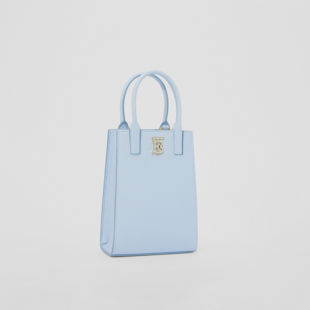 Micro Grainy Leather Frances Tote - 5