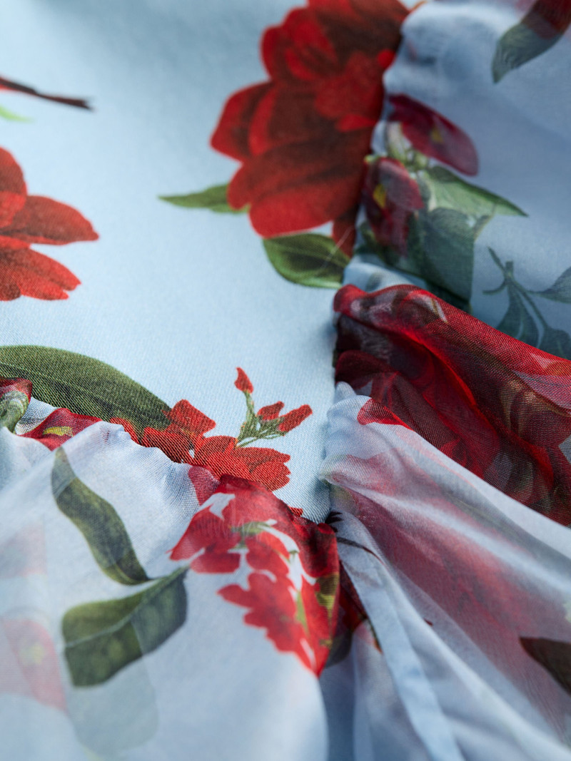 DOROTHEA PRINTED BALLGOWN 3