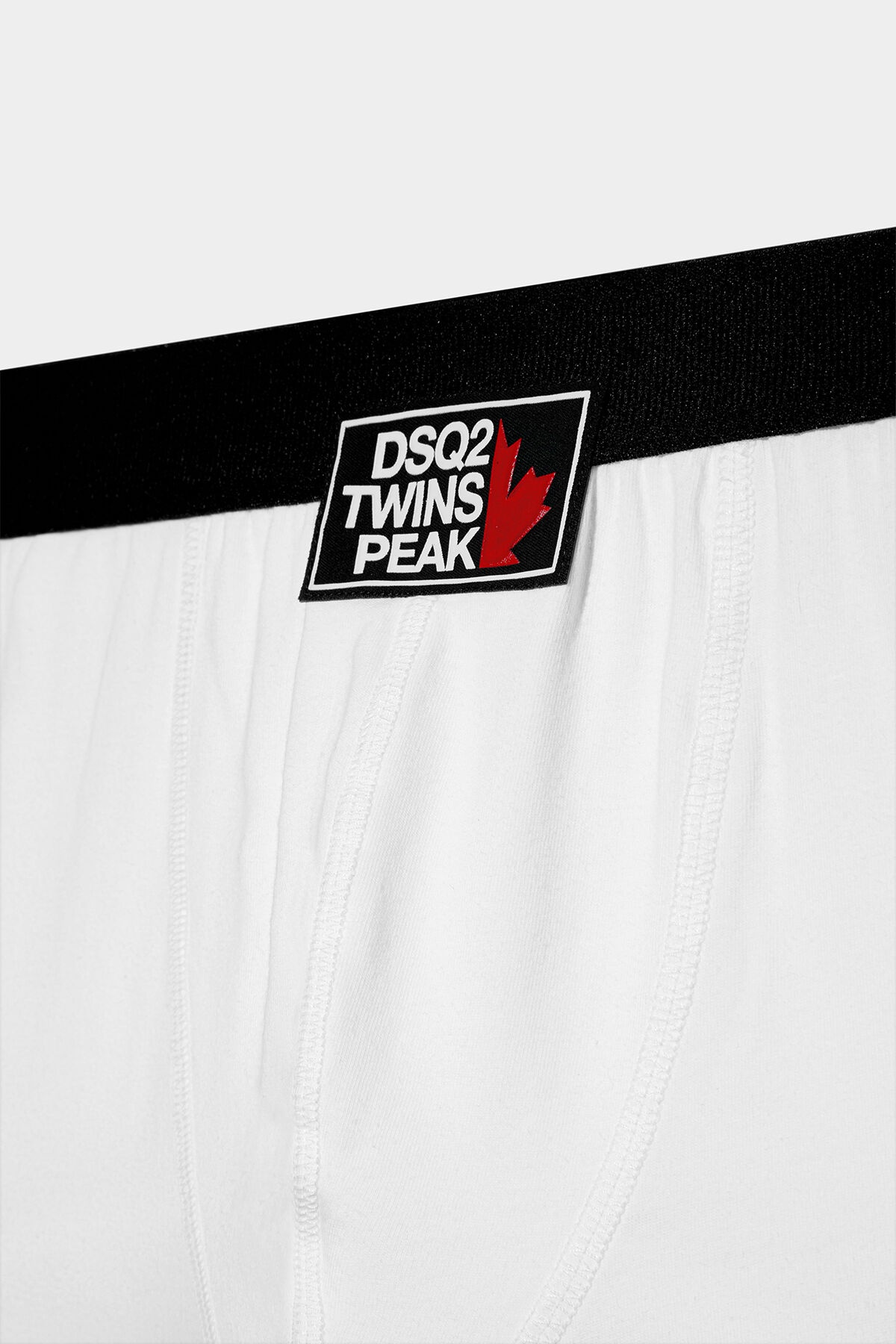 DSQ2 TWINS PEAK TRUNK - 3