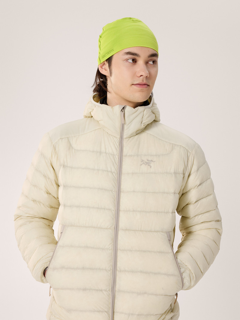 Satoro Merino Toque 4
