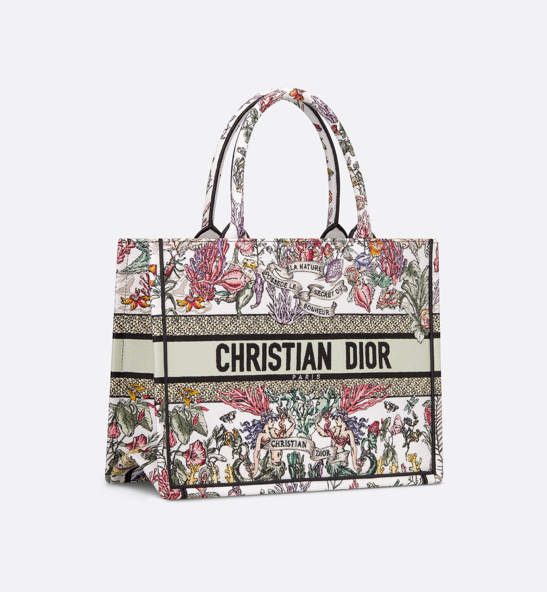 Medium Dior Book Tote - 3