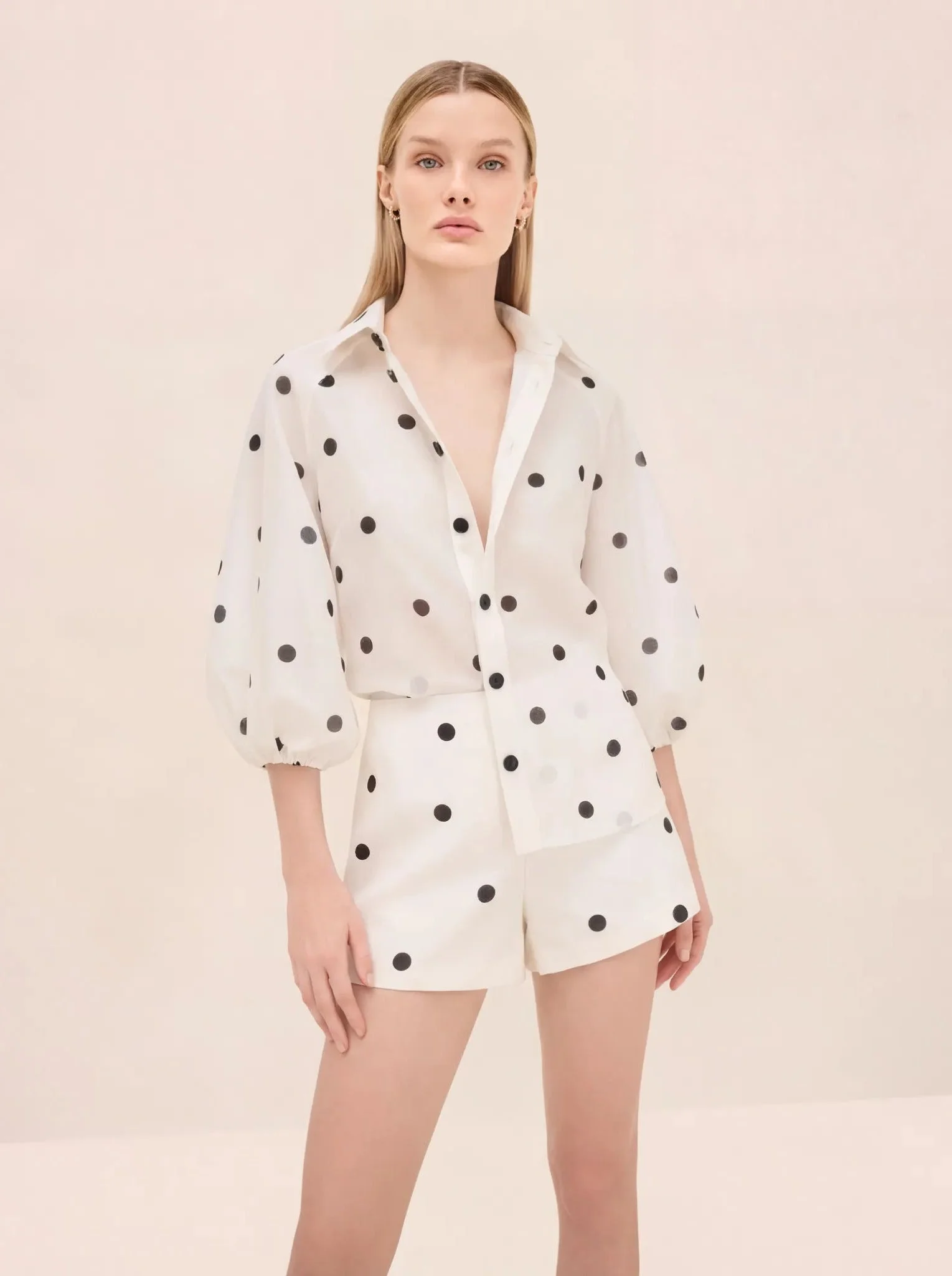 CAMBRIDGE TOP - 1
