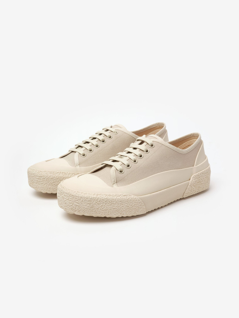 Sharp Canvas Shoe 1