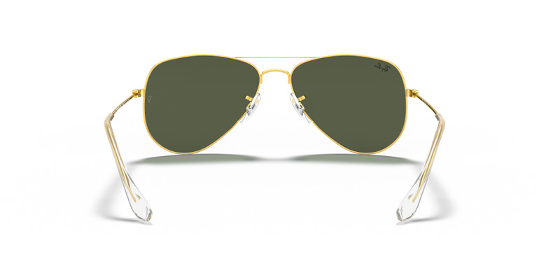 AVIATOR EXTRA 소형 6