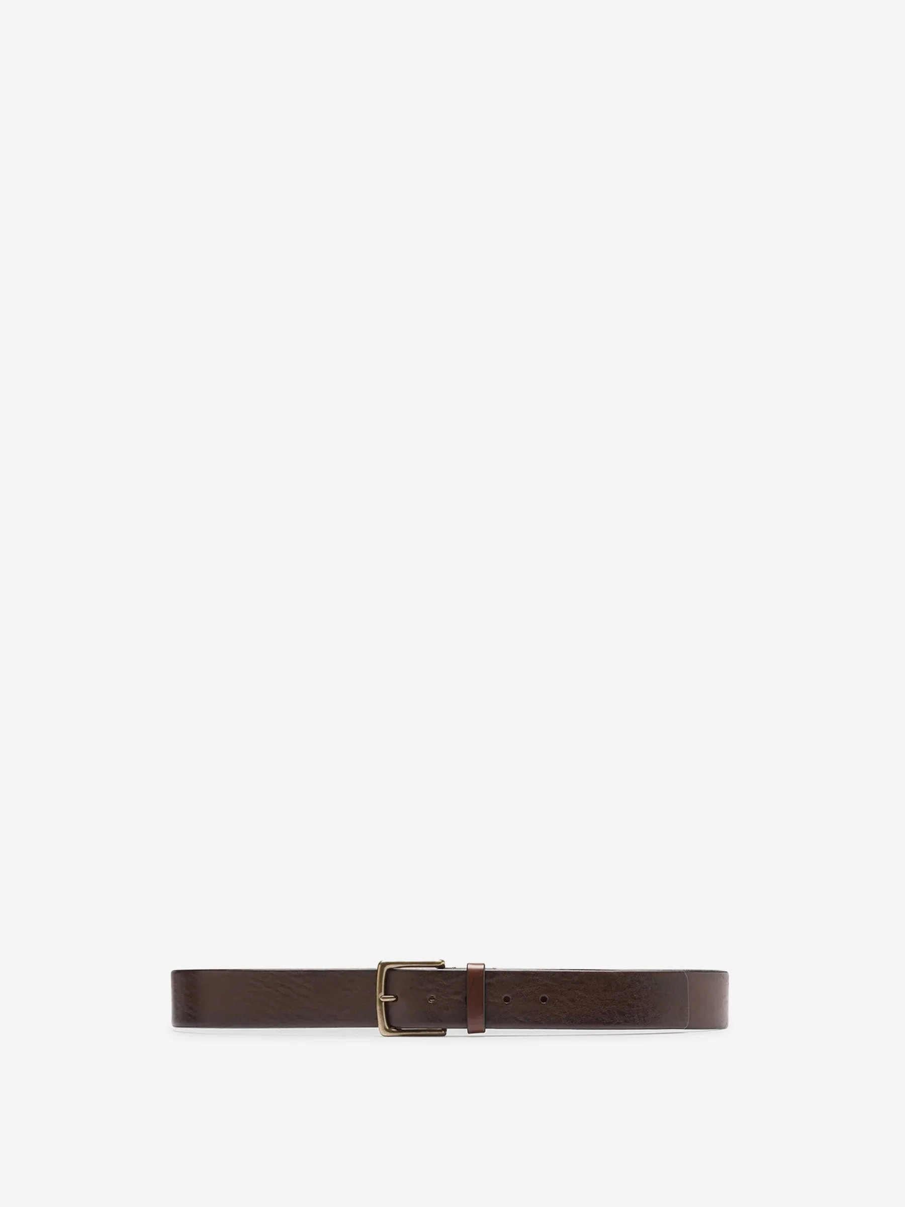 OC STRIP 22 BELT - 1