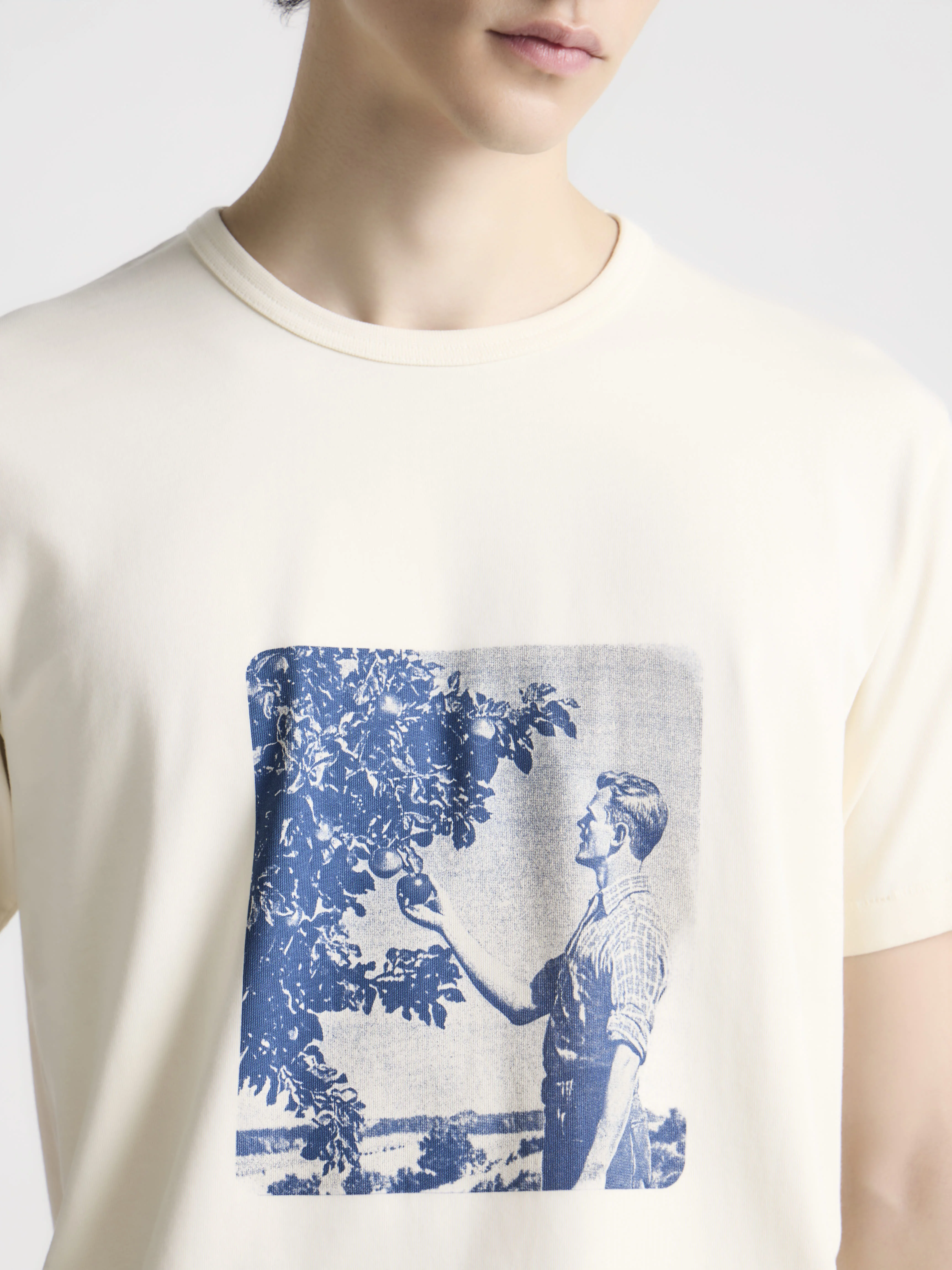 MENS PICKING FRUIT GRAPHIC PRINT T-SHIRT IN ECRU - 1
