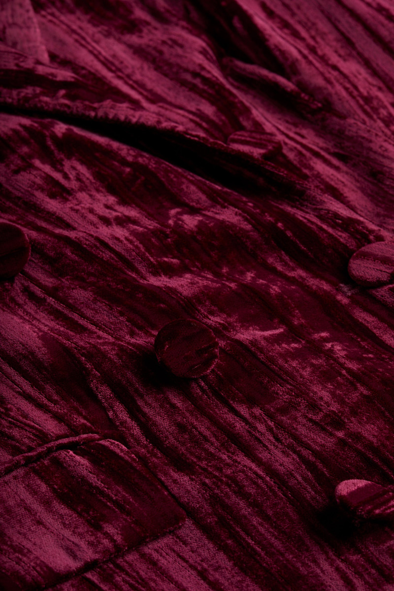 Aimee Velvet Blazer 3