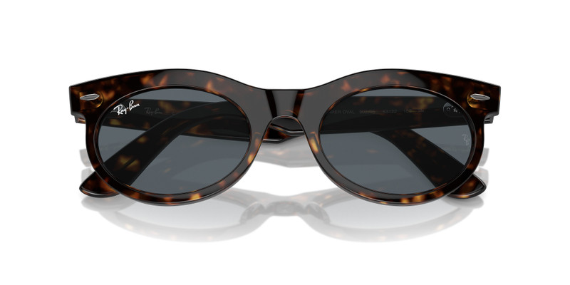 Ray-Ban WAYFARER OVAL outlook