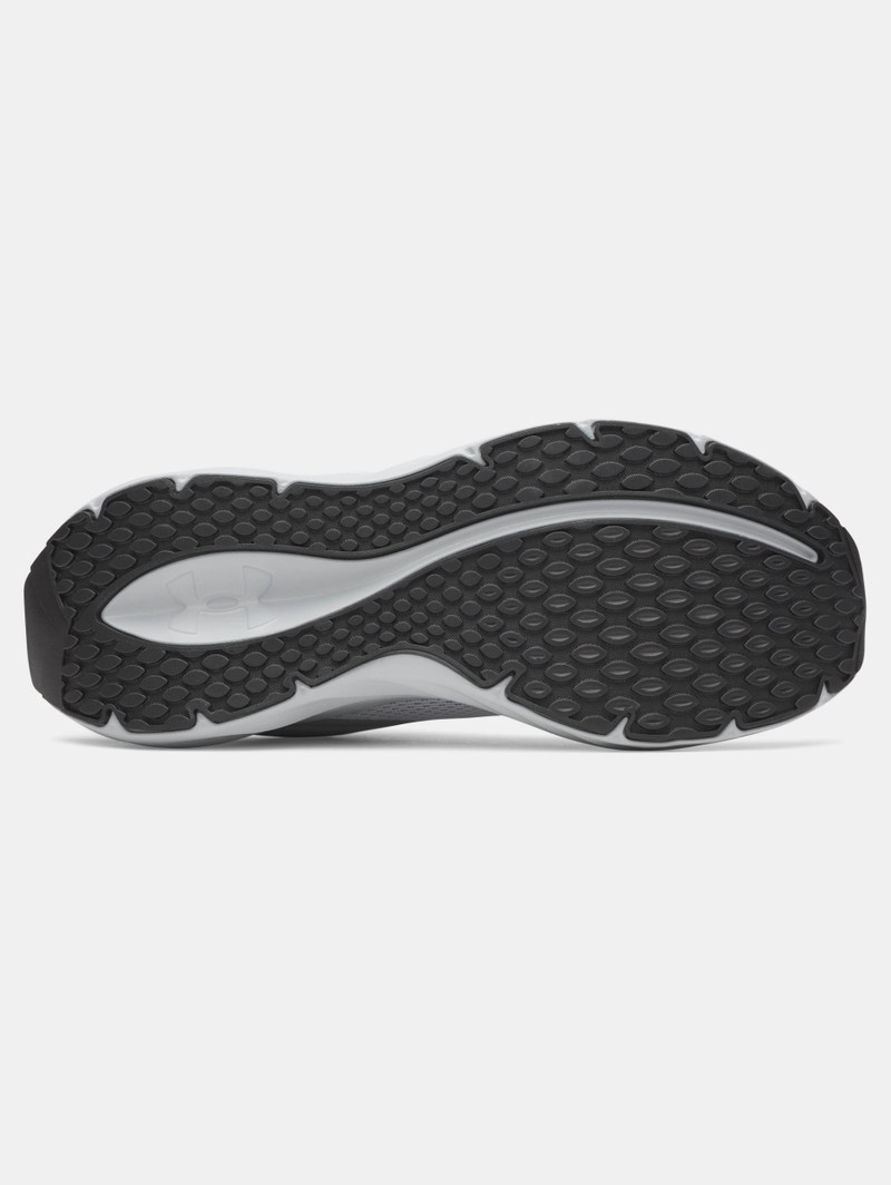 UA Ascend 4