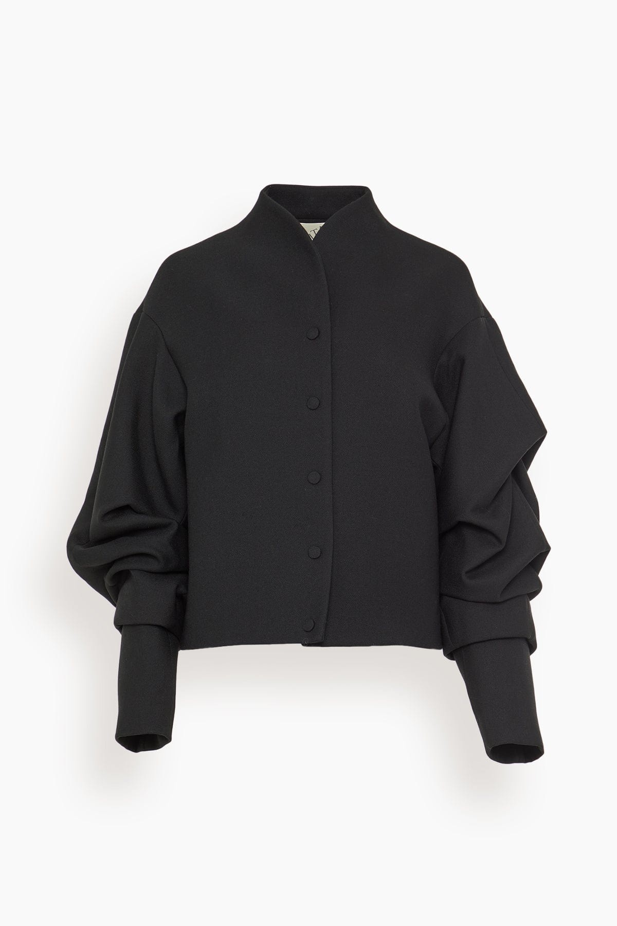 Wrinkled Sleeve Jacket in Black - 1