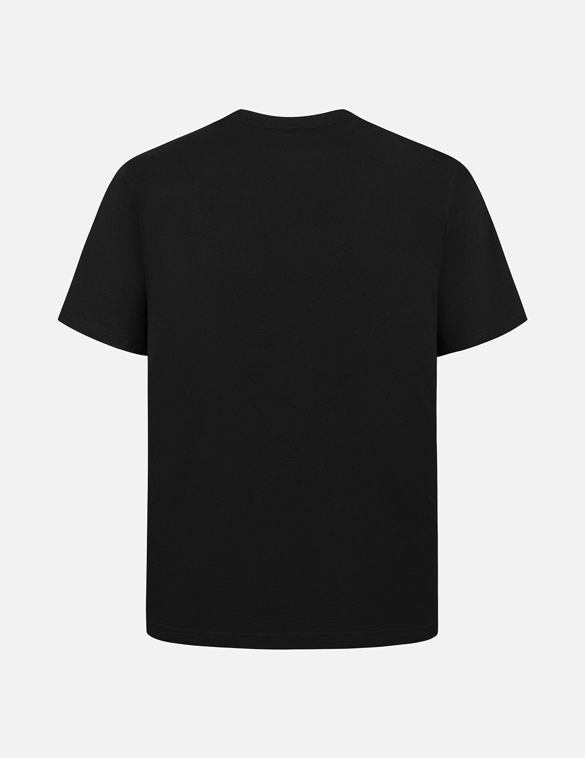 Seagull and Brand Logo Print Regular Fit T-shirt - 2