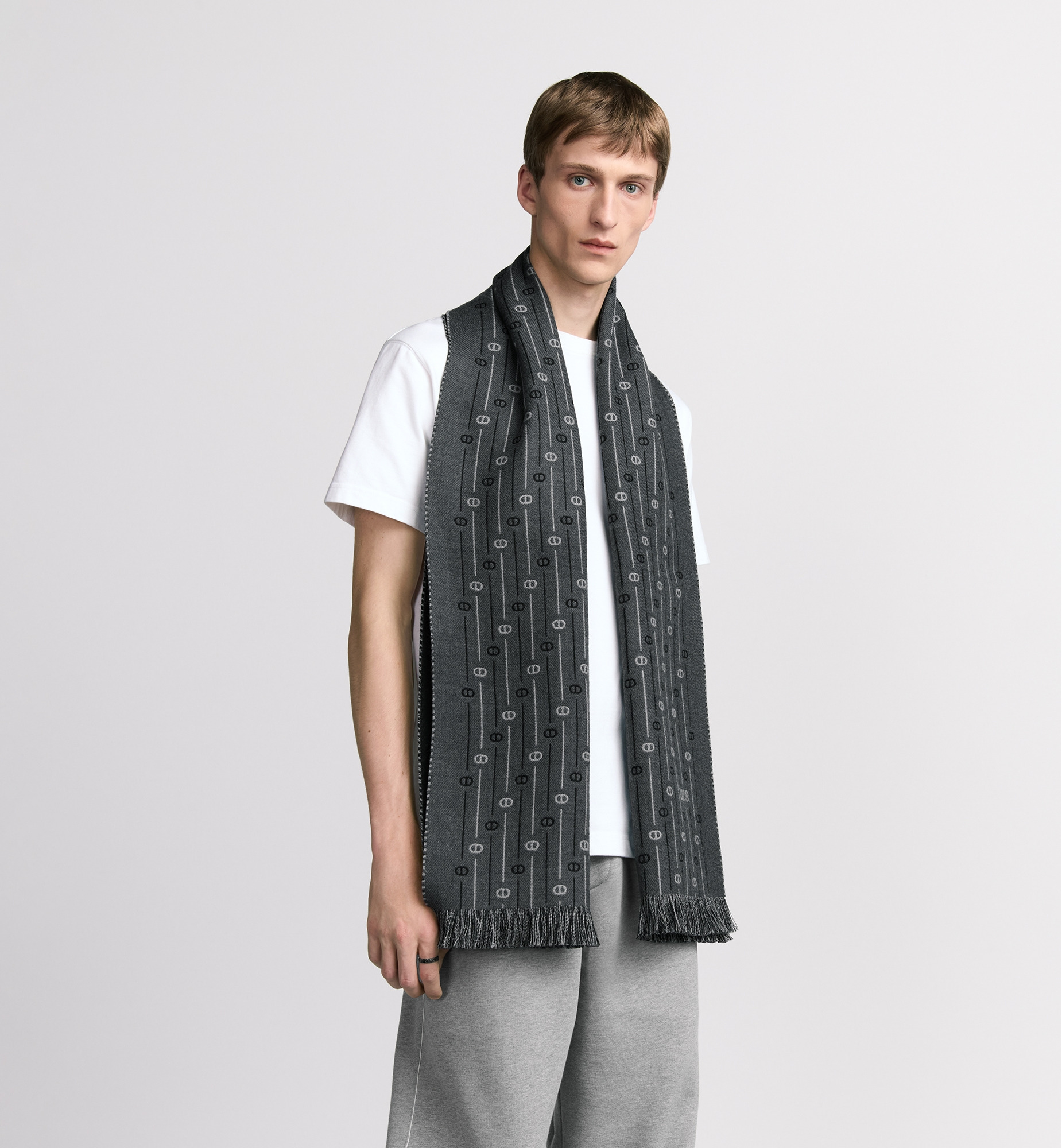 CD Icon Striped Scarf - 2
