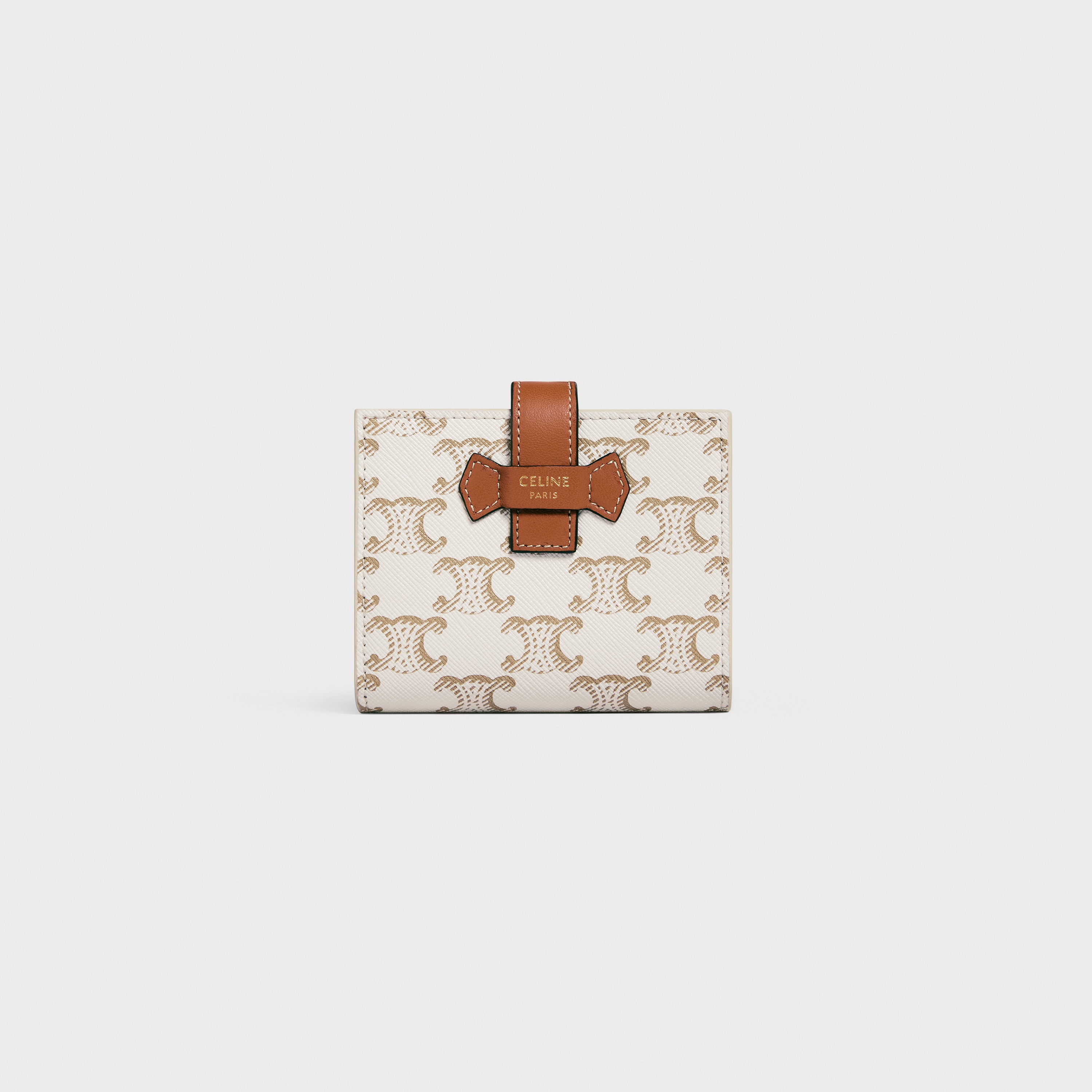 Small Strap Wallet Essentials in Triomphe Canvas and Lambskin - 3