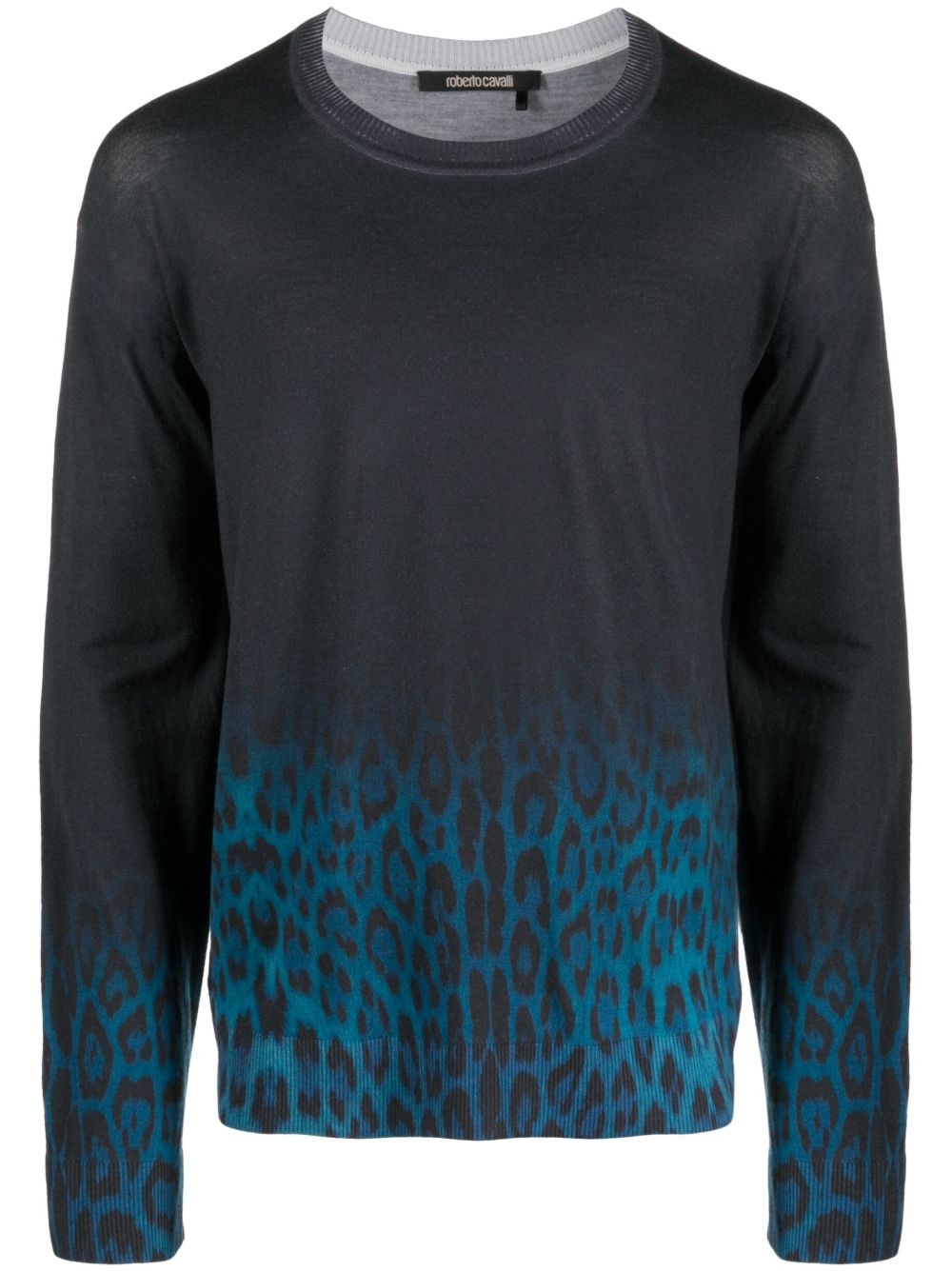 Jaguar Degrade print wool jumper - 1