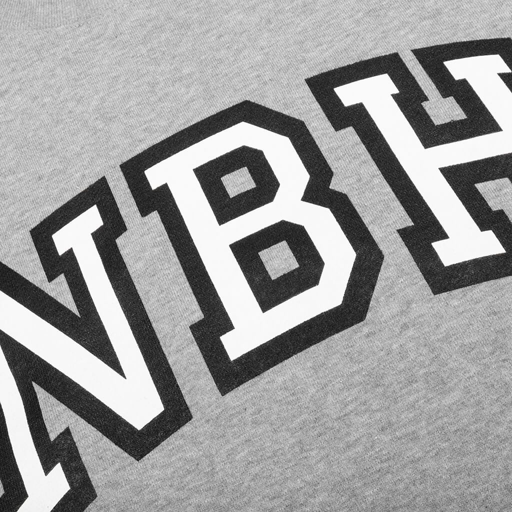 COLLEGE CO L/S CREWNECK - GREY - 3