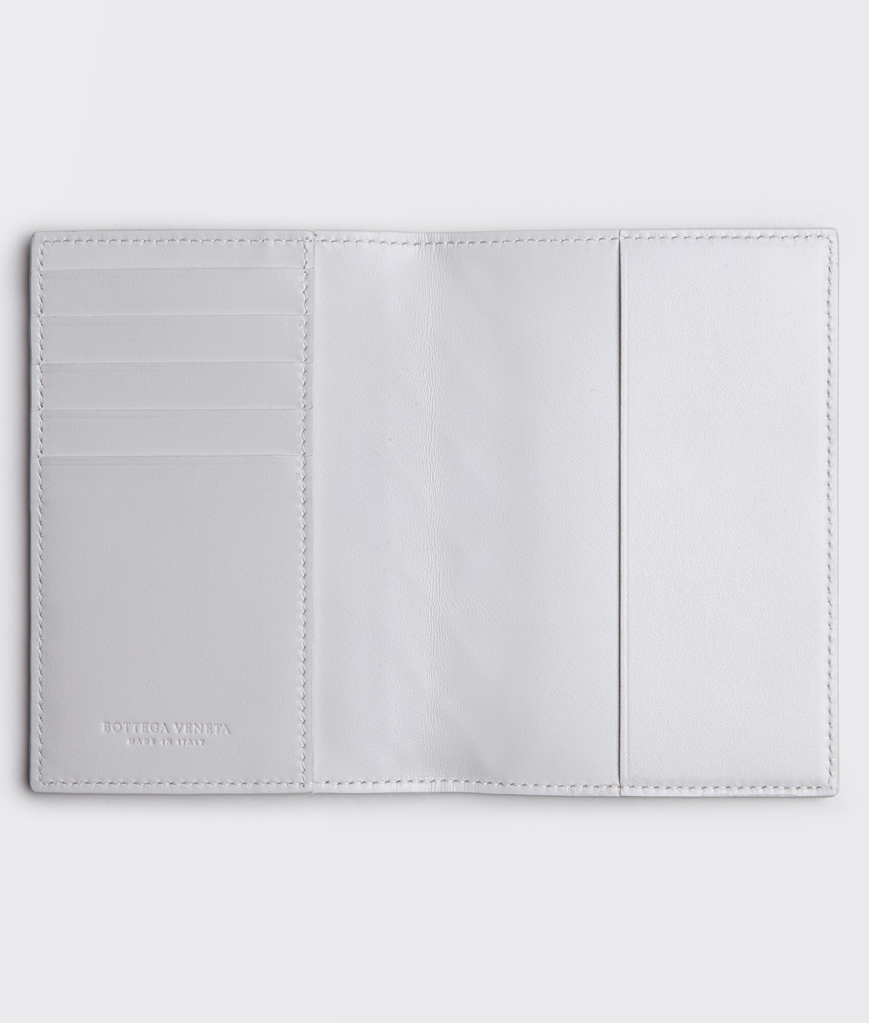 passport case - 2