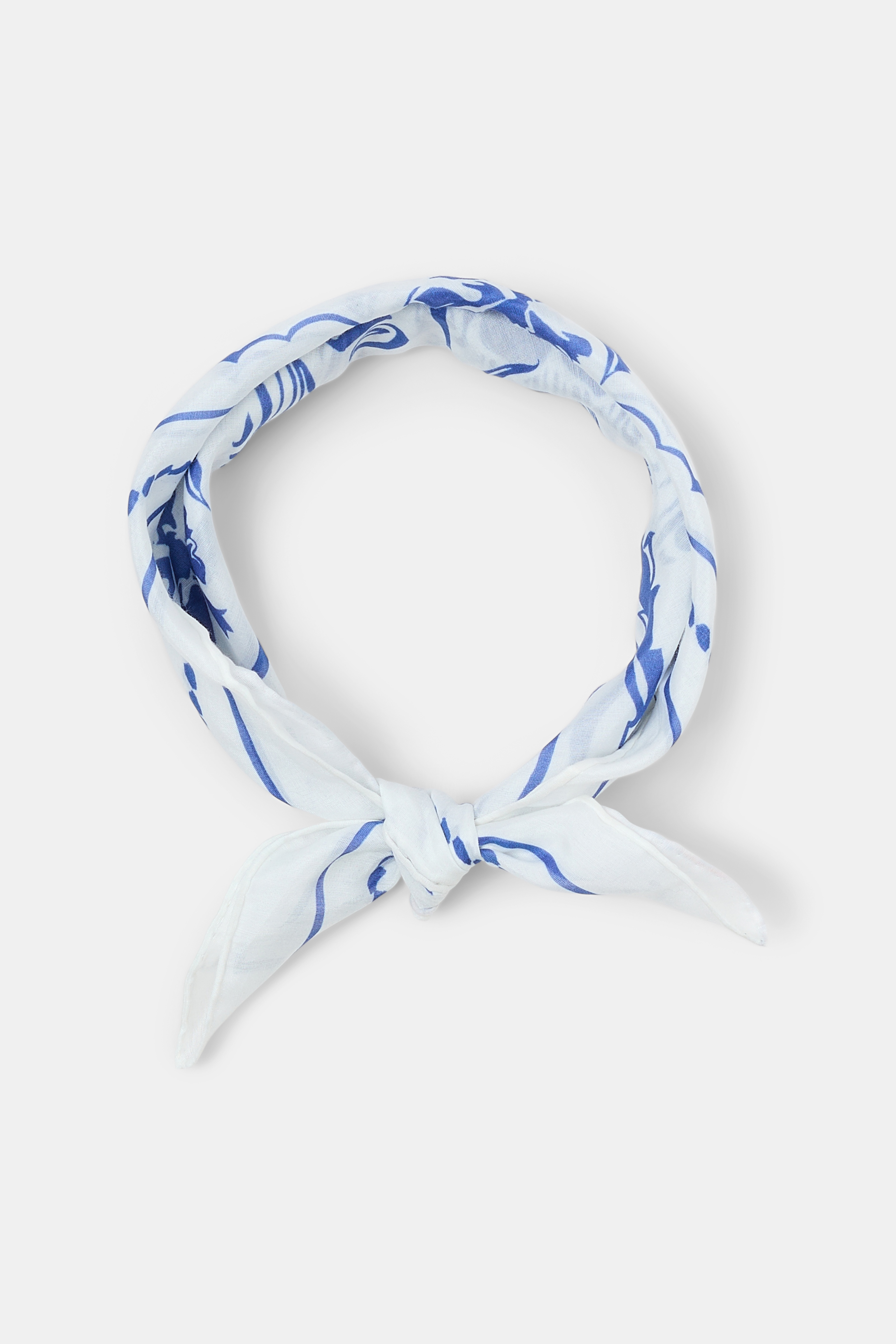 FRIENDS OF DOROTHEE scarf - 5