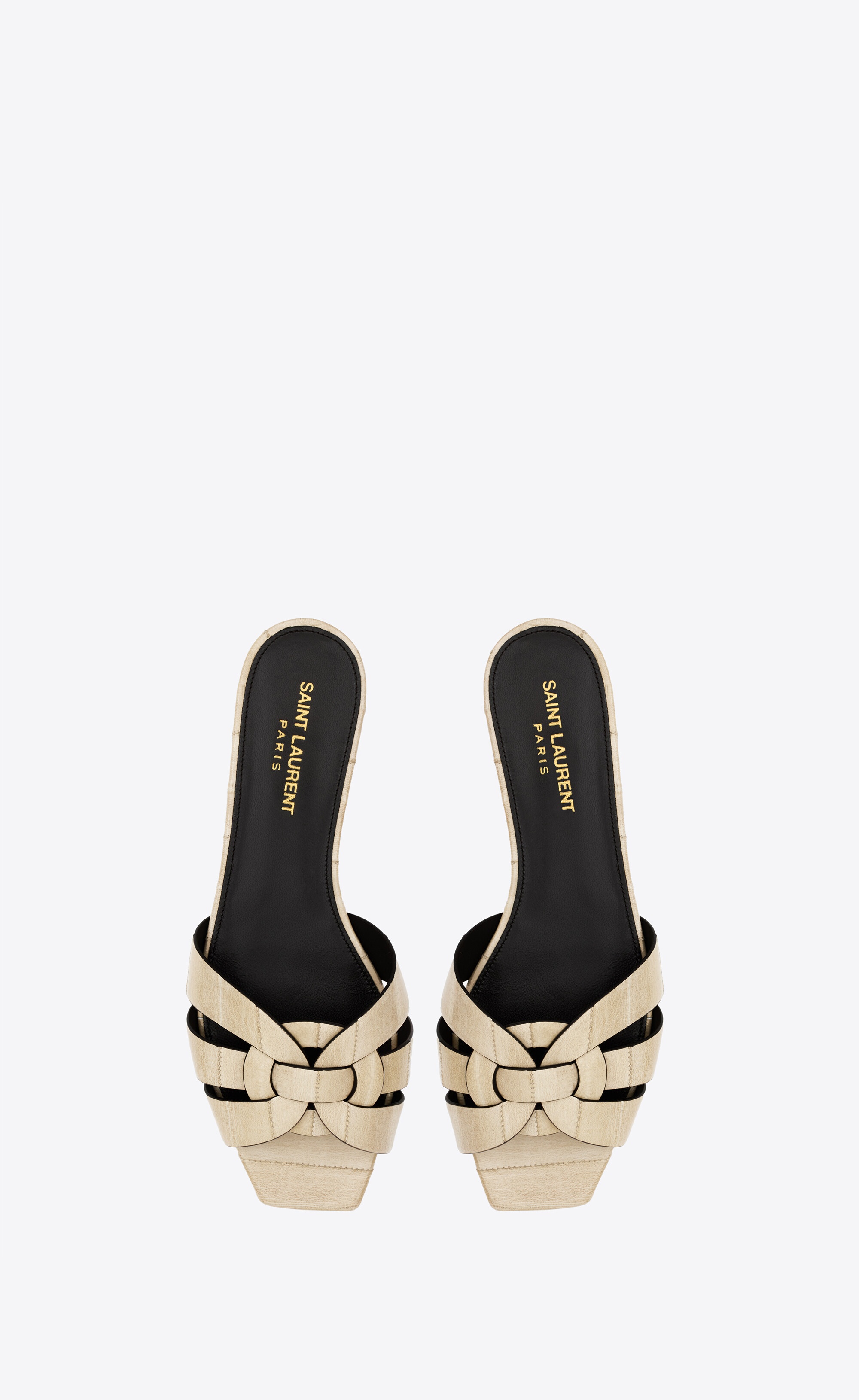 tribute mules in eel - 2