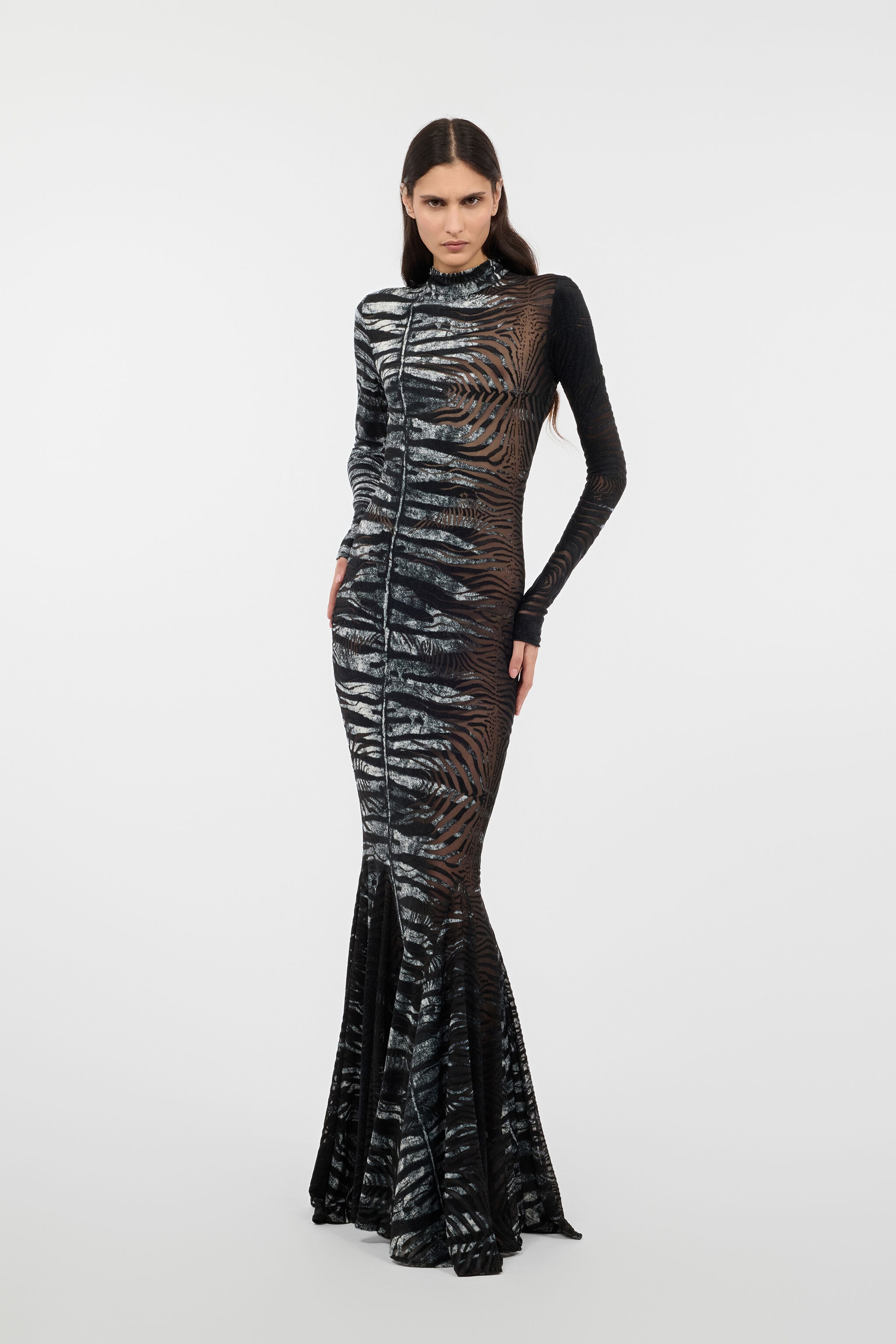 Long See-Through Dress With Zebra Pattern - 2