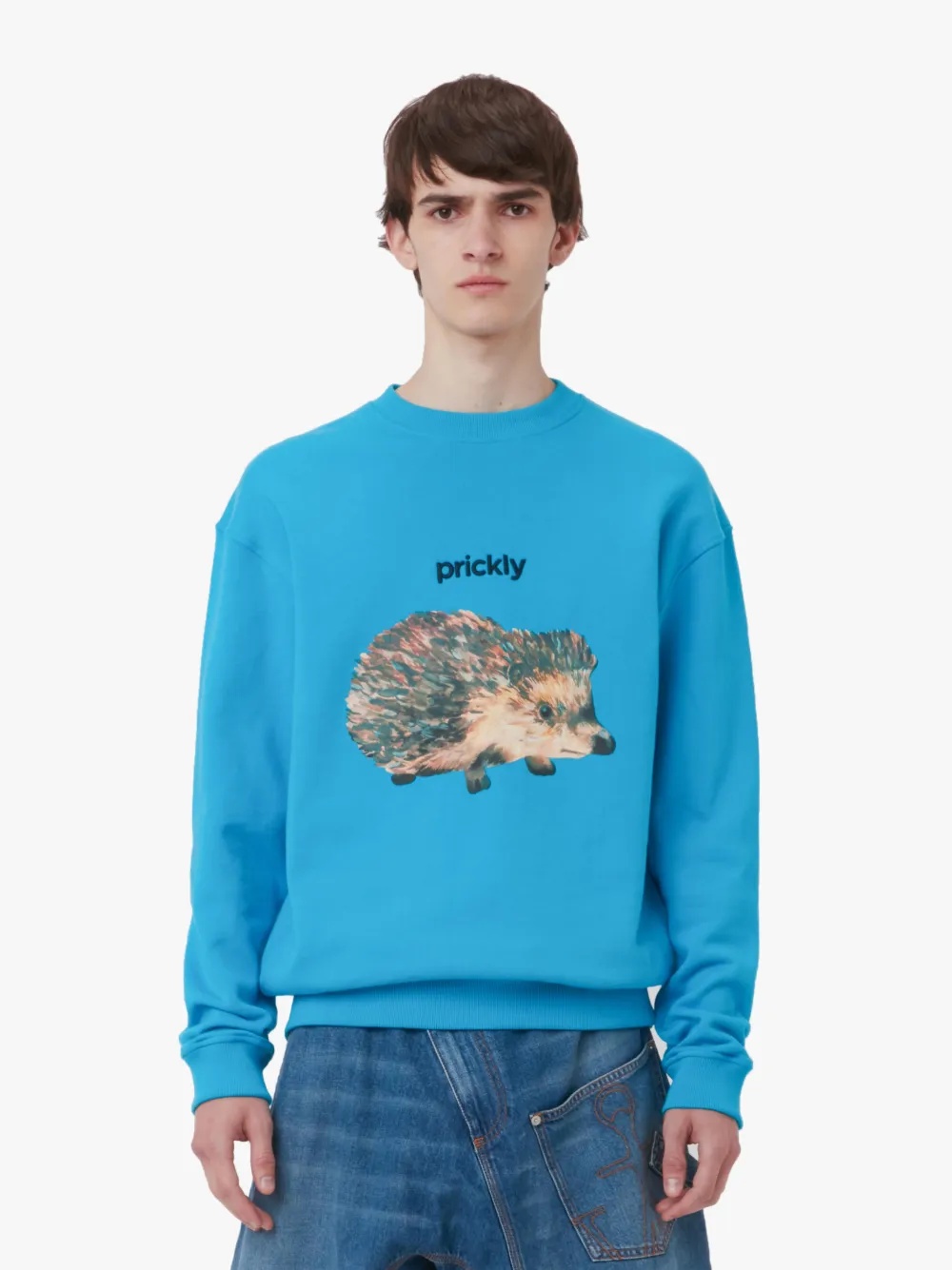 HEDGEHOG PRINT CREWNECK SWEATSHIRT - 2