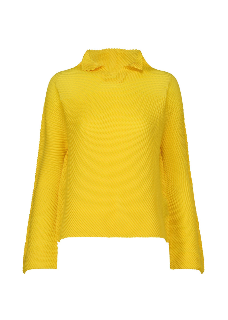SHIFTED MISTY PLEATS 1