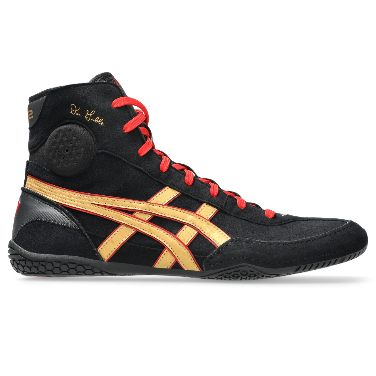 DAN GABLE EVO 3 - 1