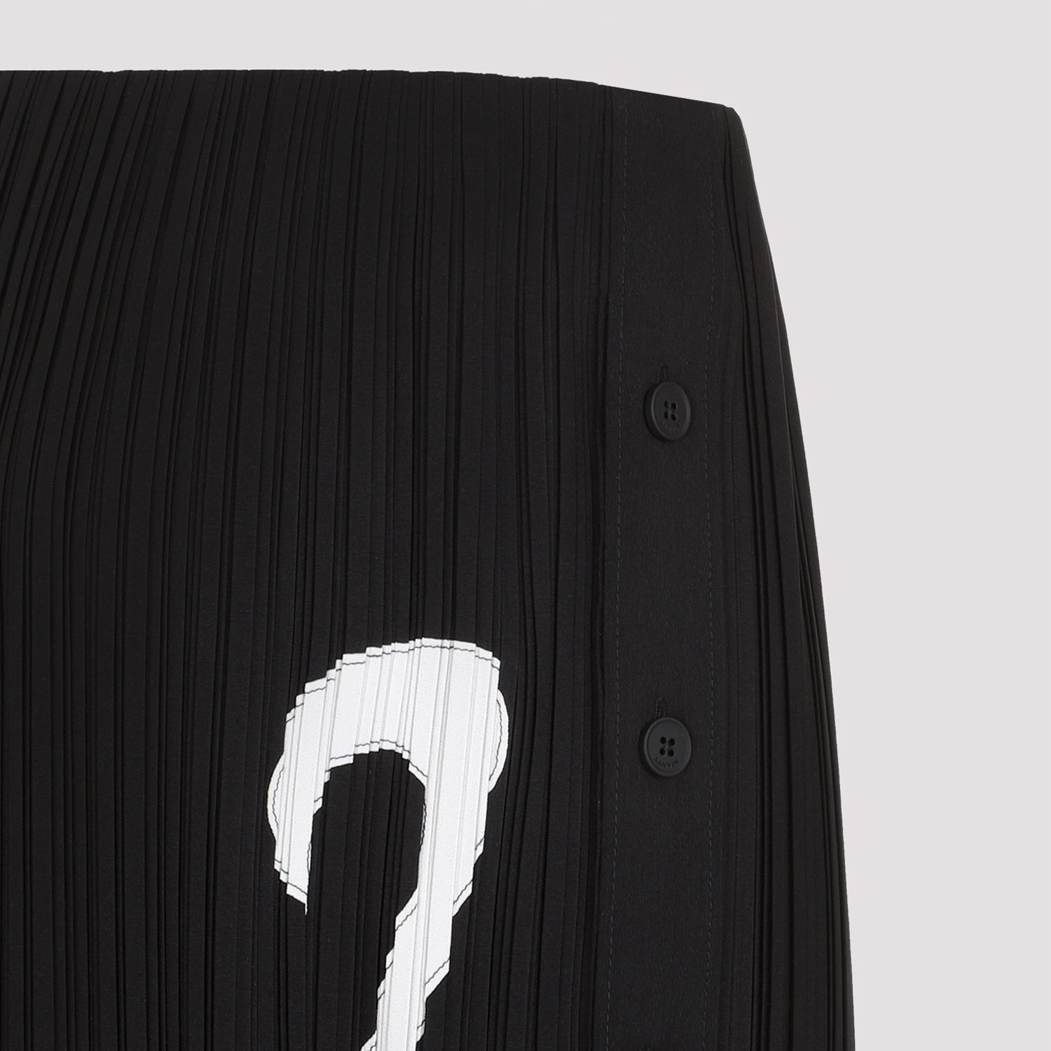 Lanvin Pleated Long Skirt Women - 4