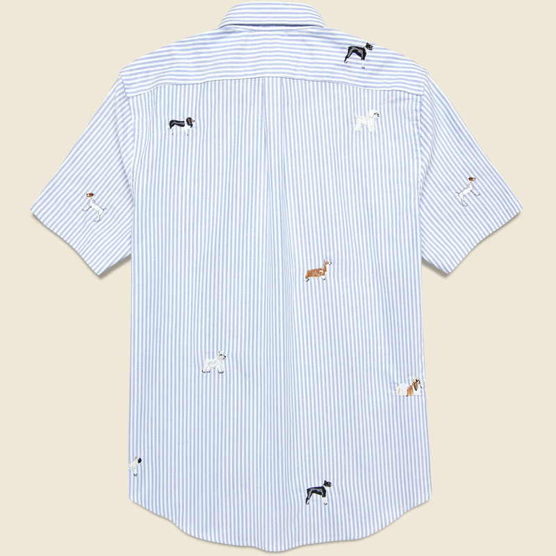 Portuguese Flannel Dogs Oxford Shirt - Blue Stripe outlook