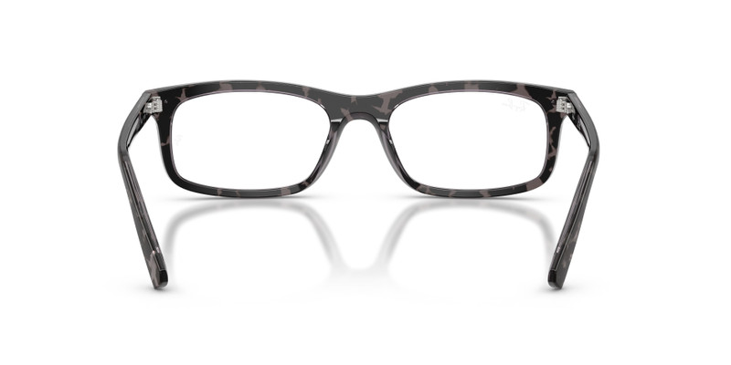 RB5450 OPTICS 6