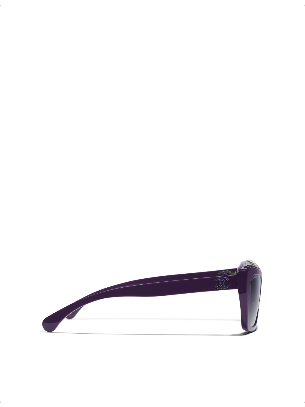 CH5540 Butterfly-Frame Acetate Sunglasses - 2