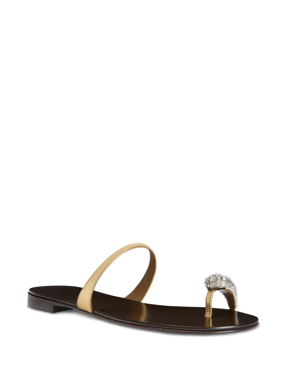 Icon Ring slides - 2