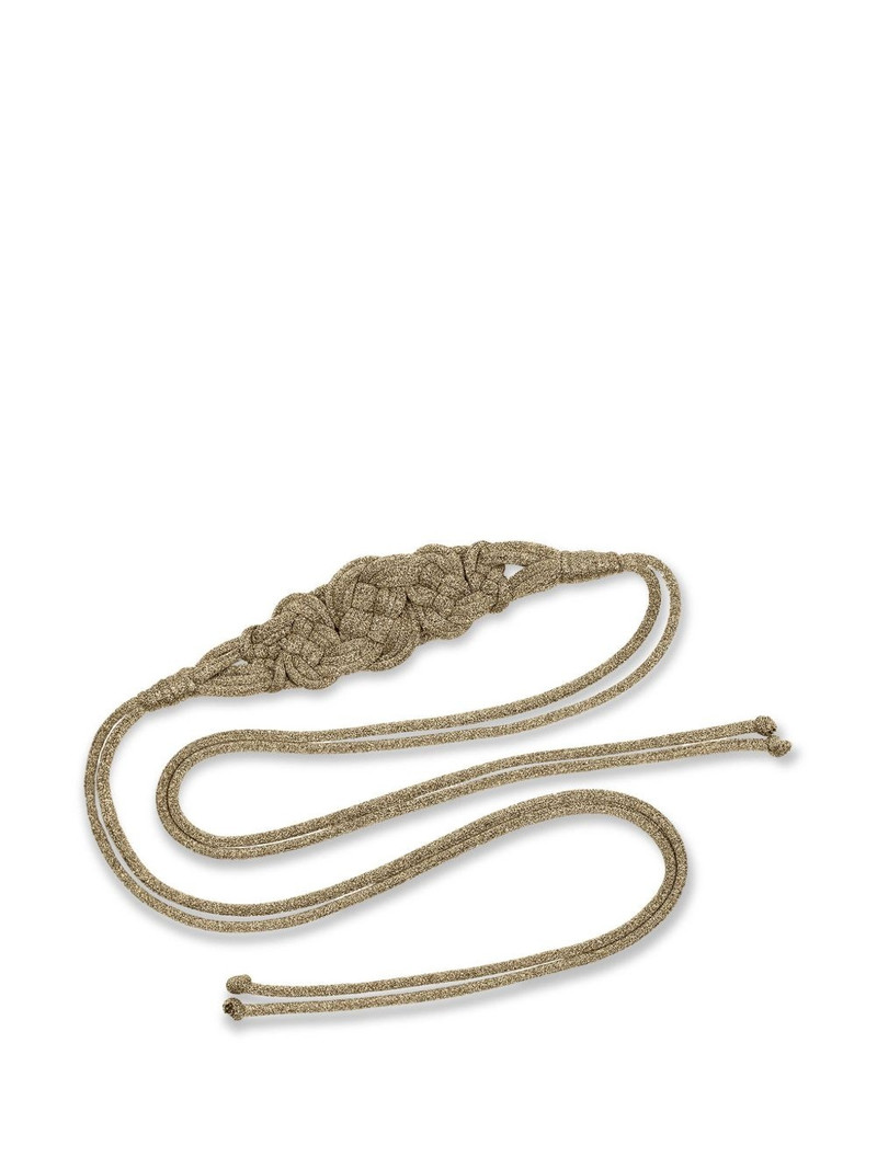 Palm belt 1