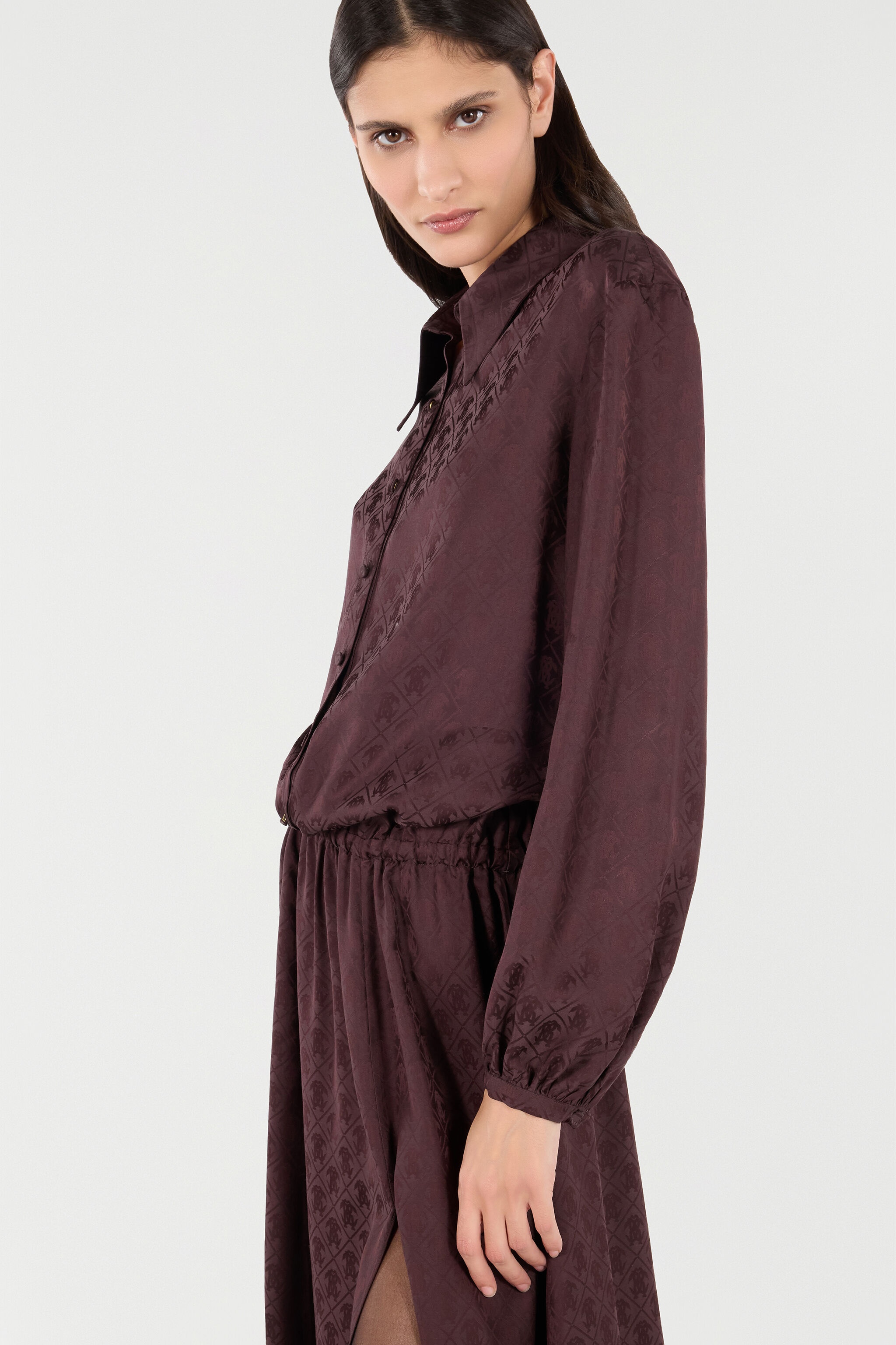 Shirt Dress With Mirror Snake Monogram - 6