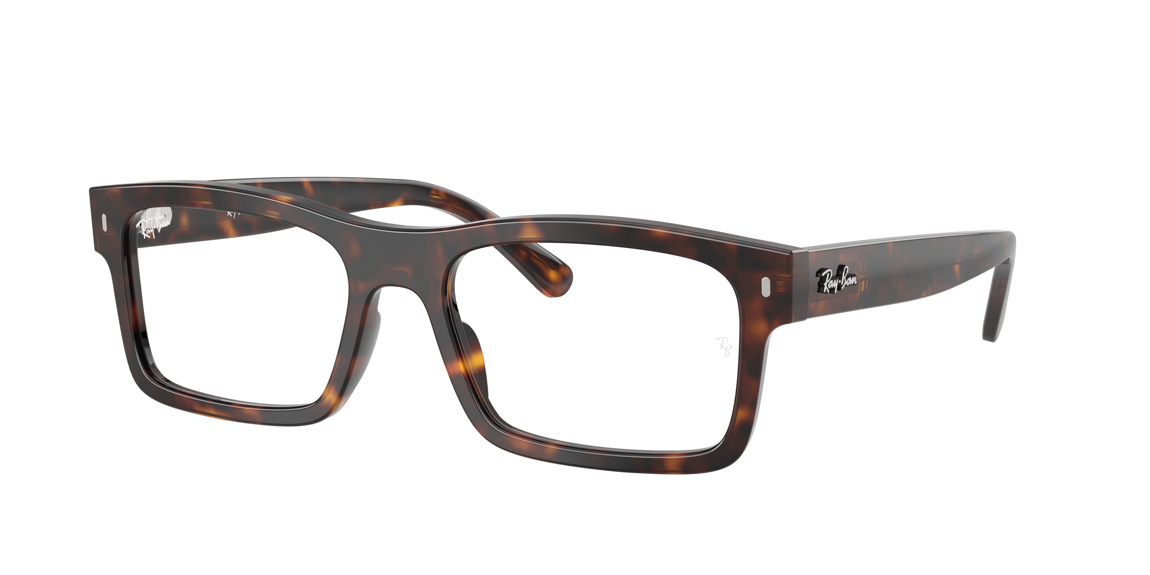 RB5435 OPTICS - 3