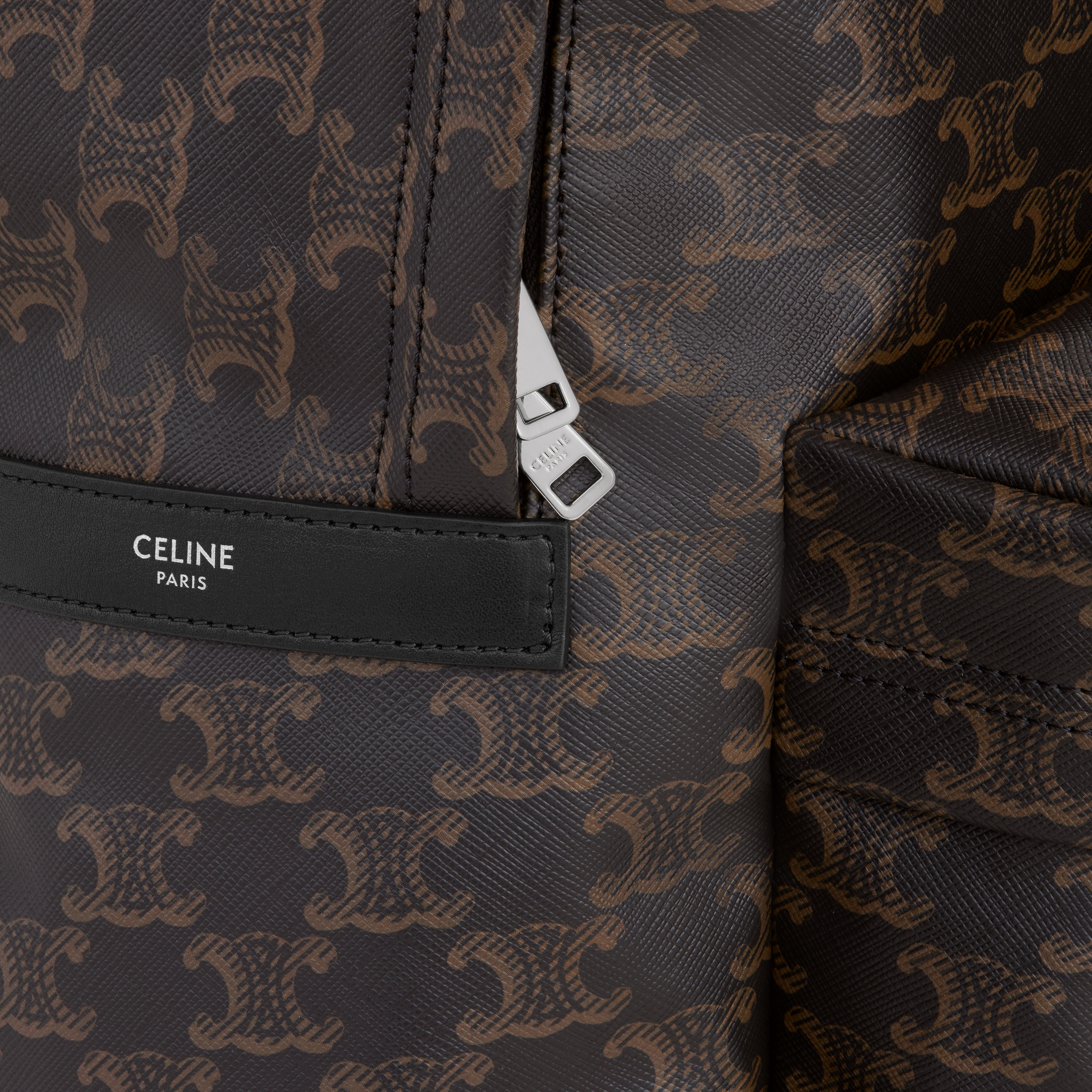 Medium Backpack in Triomphe Canvas and Calfskin - 4