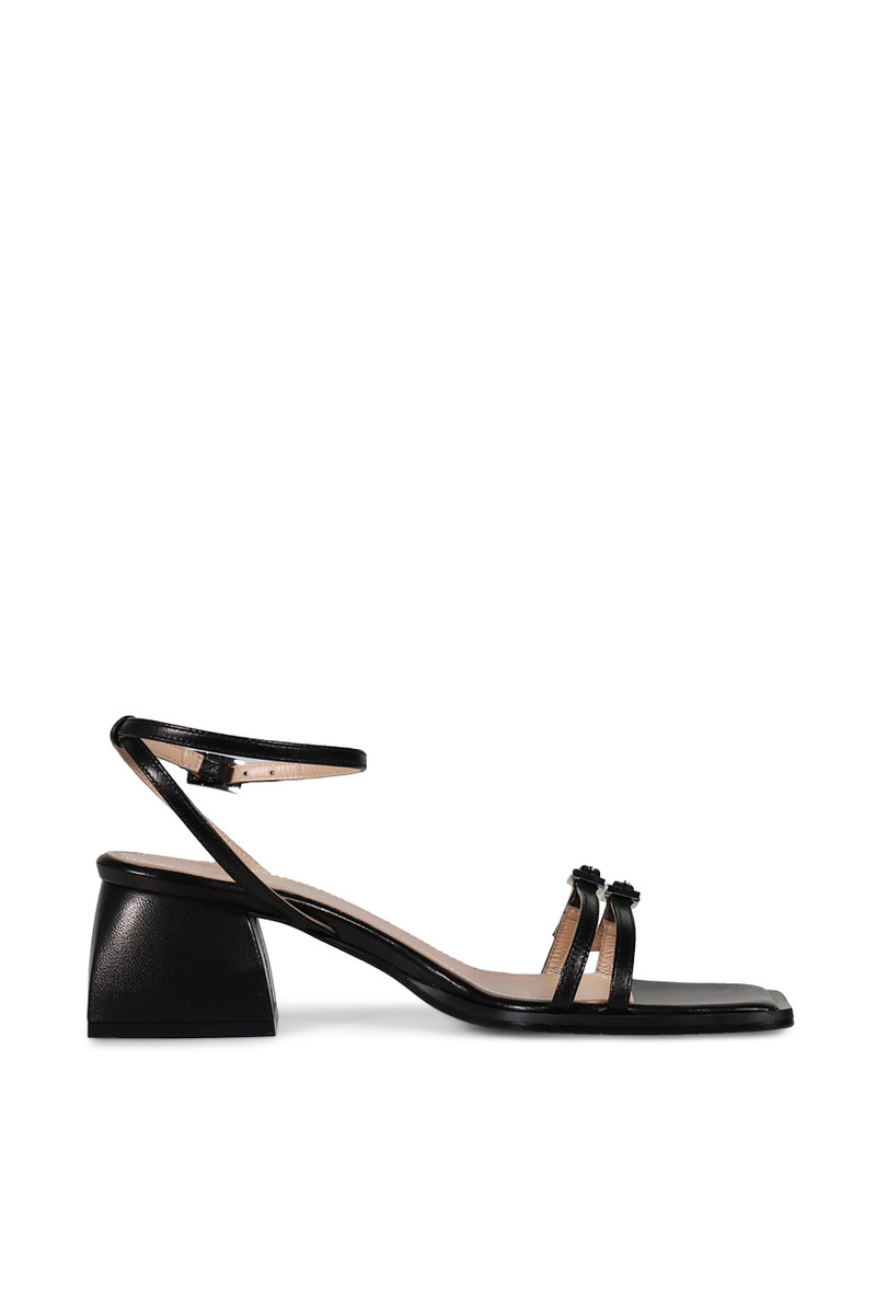NODALETO BULLA LAETITIA / BLK outlook
