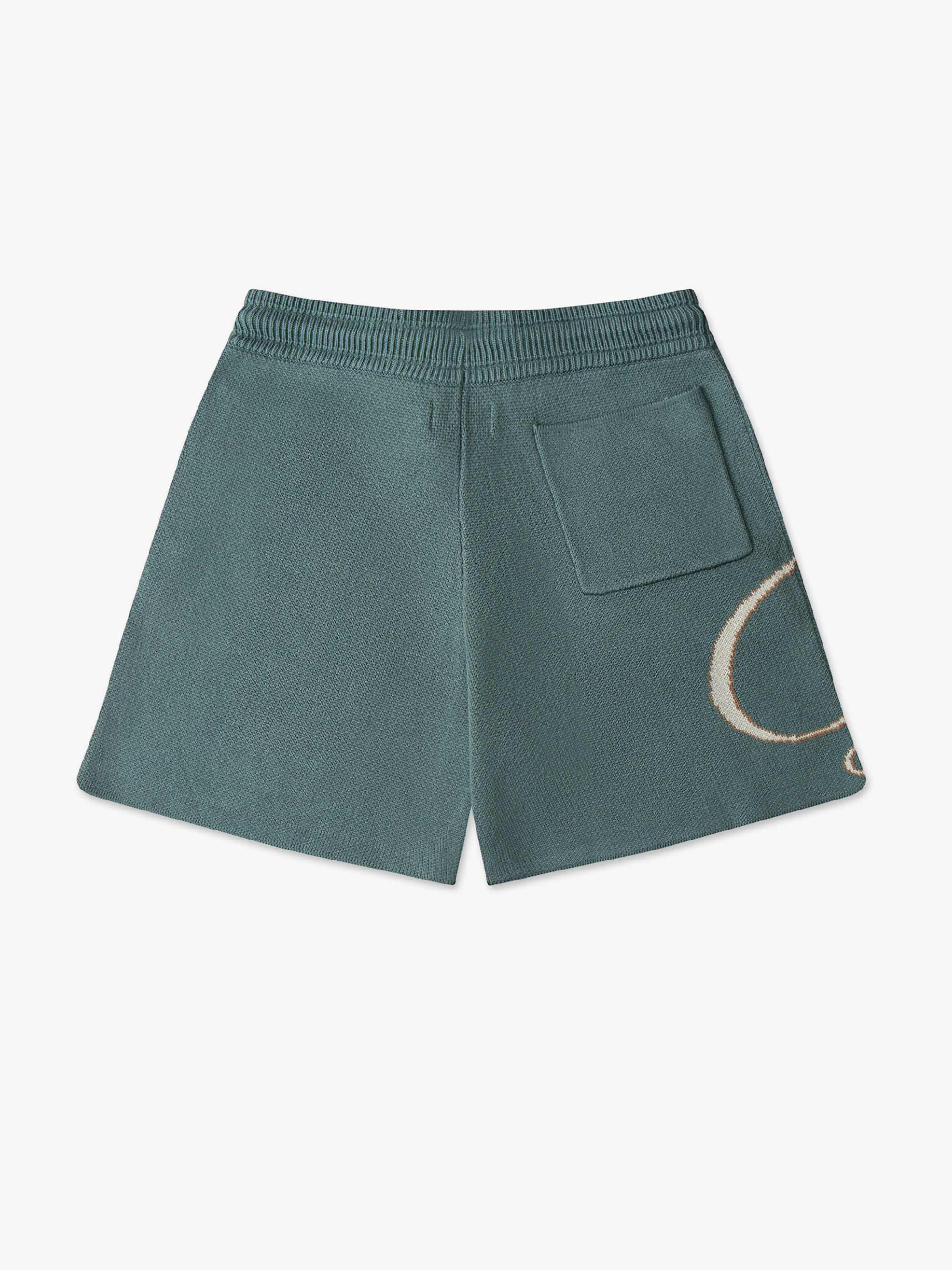 SCRIPT LOGO KNIT SHORT - 2