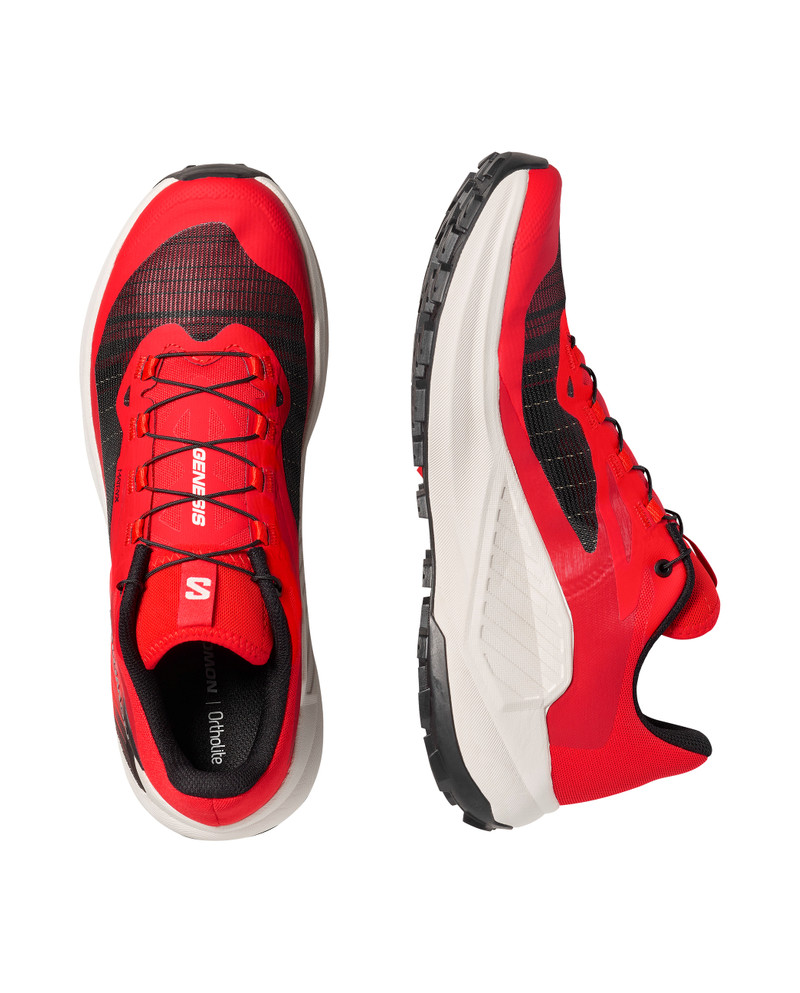 SALOMON GENESIS outlook