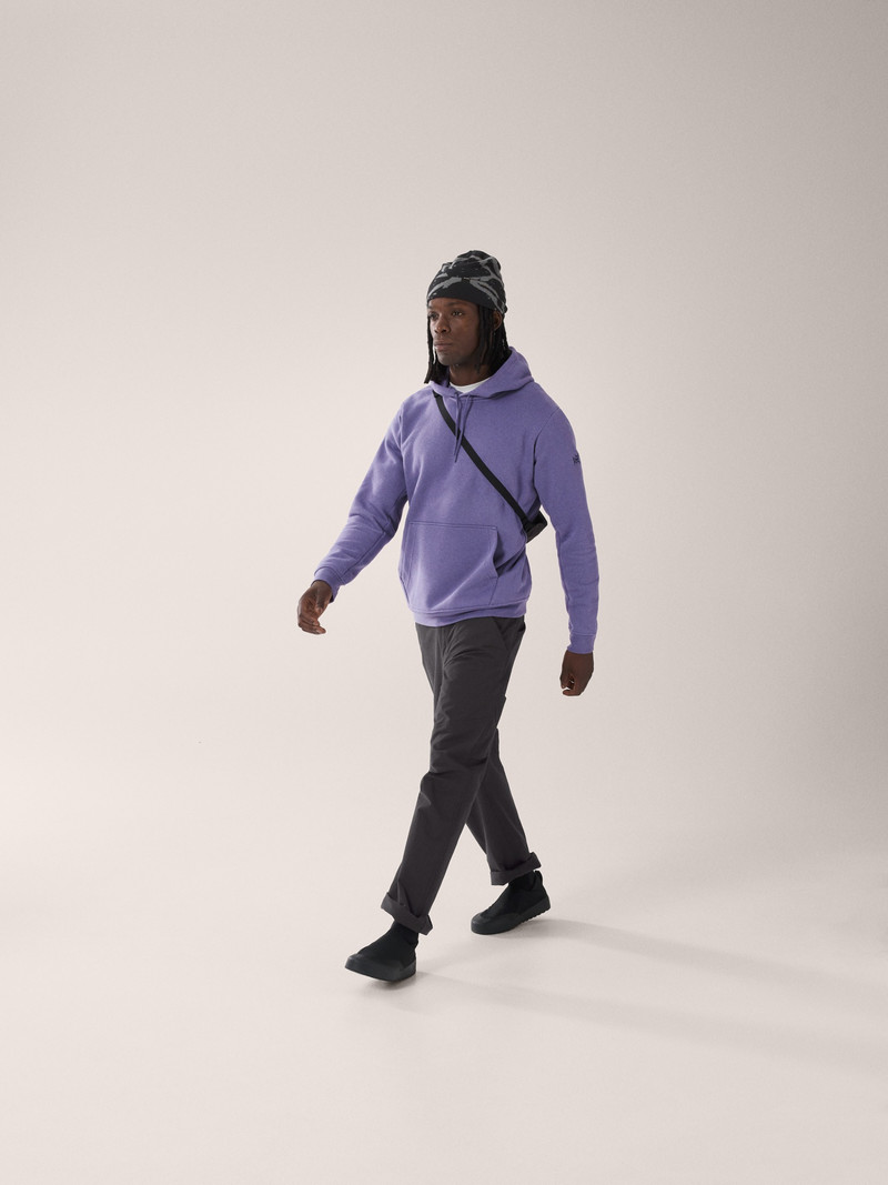Arc'teryx Emblem Fleece Hoody outlook