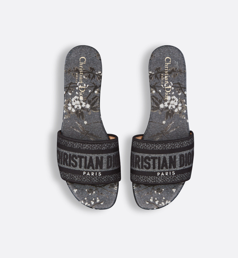 Dior Dway Slide outlook